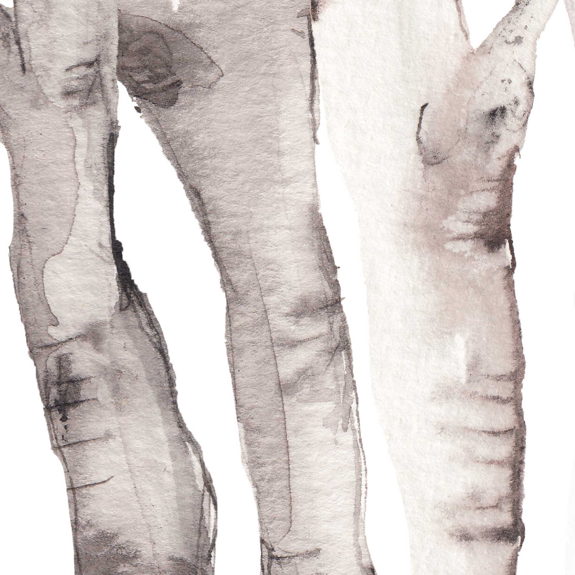 Birch Tree Watercolor No. 2 - Image 15