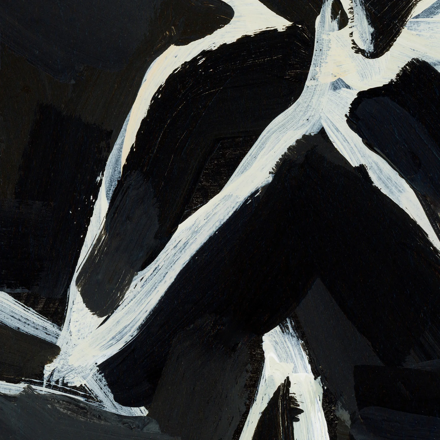 Black & Cream Lilies - Image 14