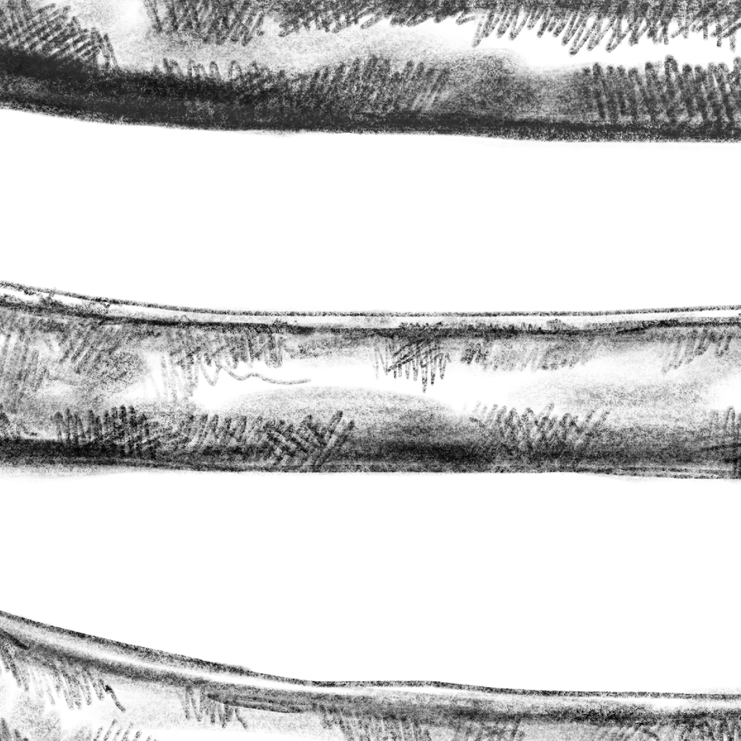 Black + White Canoe Illustration - Image 14