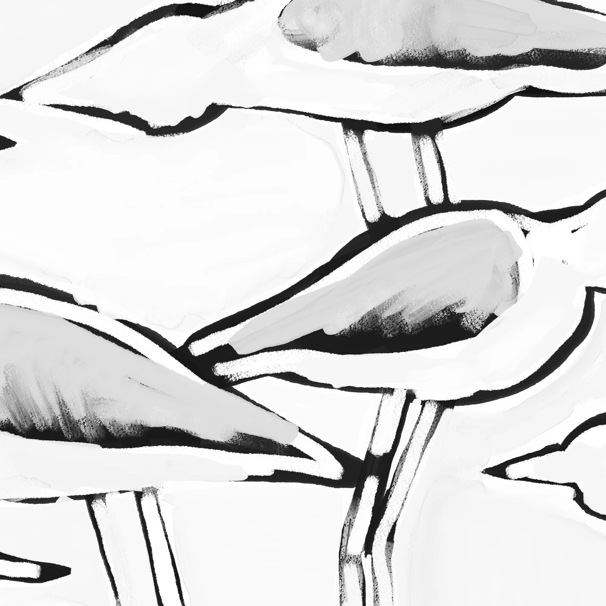 Black & White Gulls in Waiting - Image 14