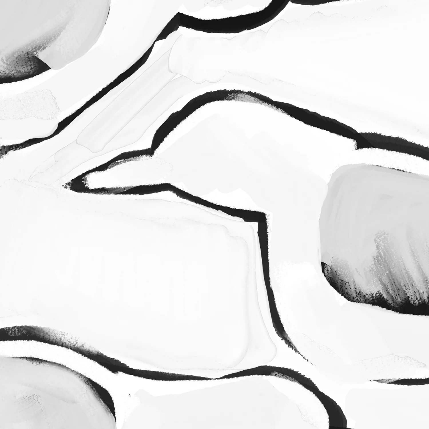 Black & White Gulls in Waiting Panoramic - Image 9