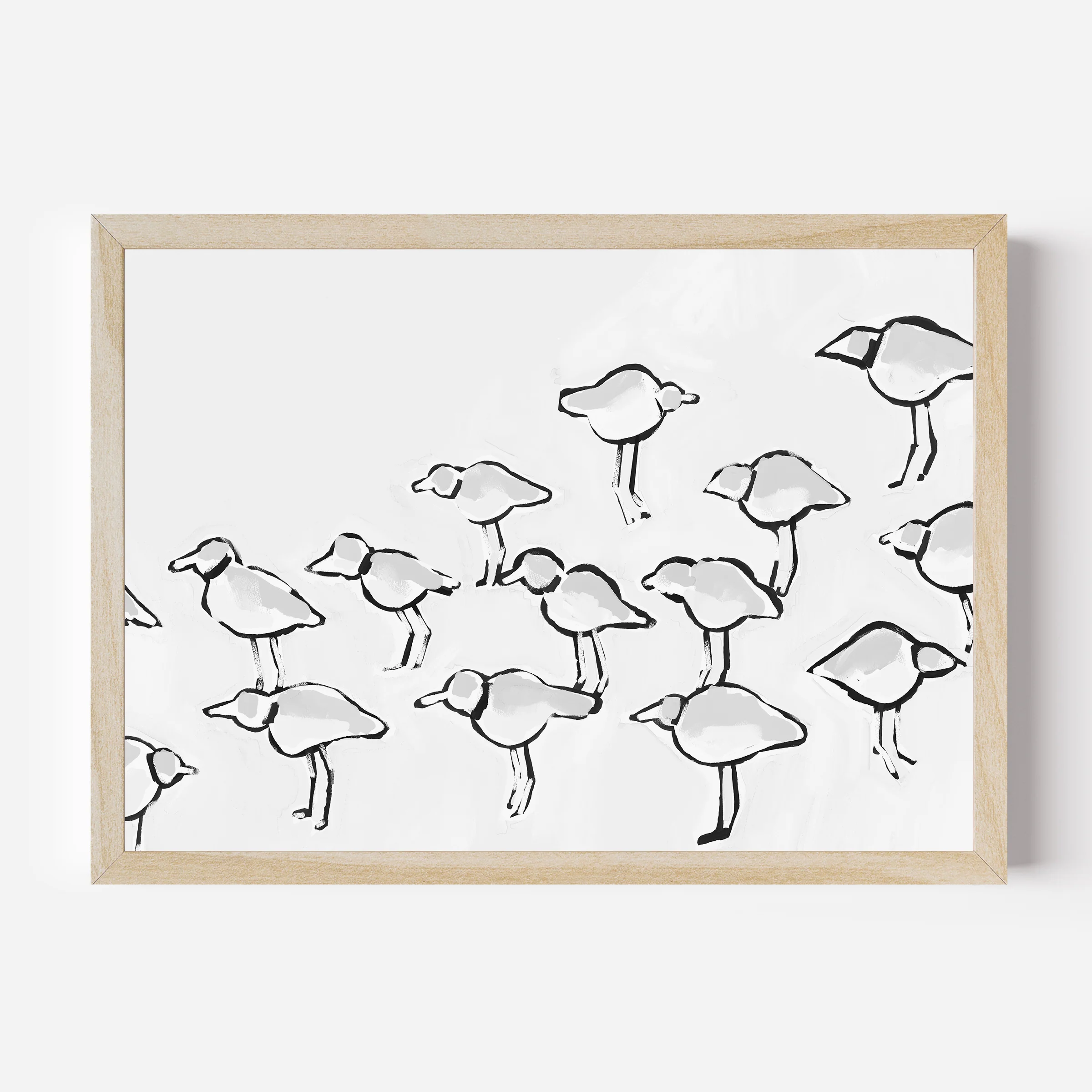 Black & White Piping Plover - Image 3