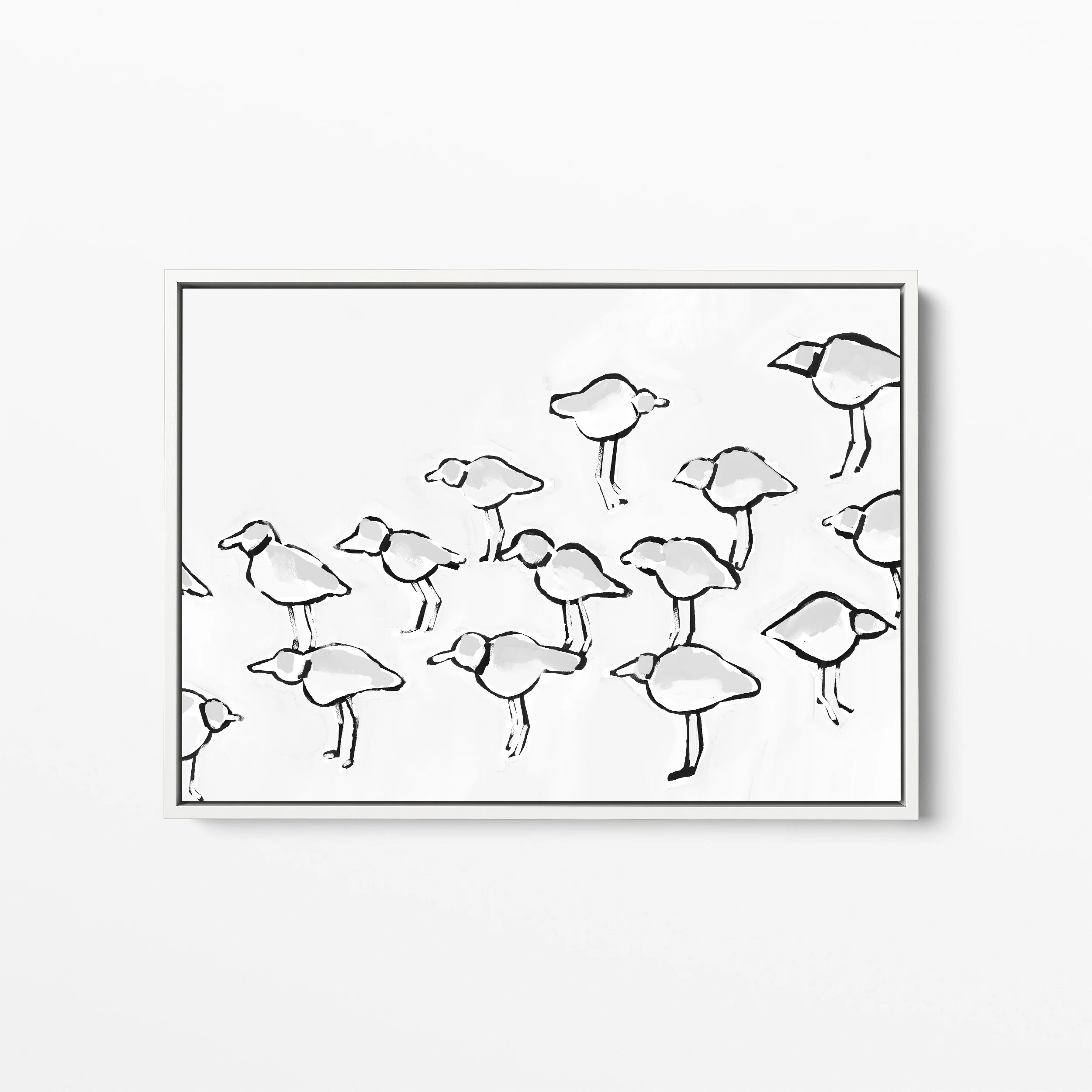 Black & White Piping Plover - Image 4