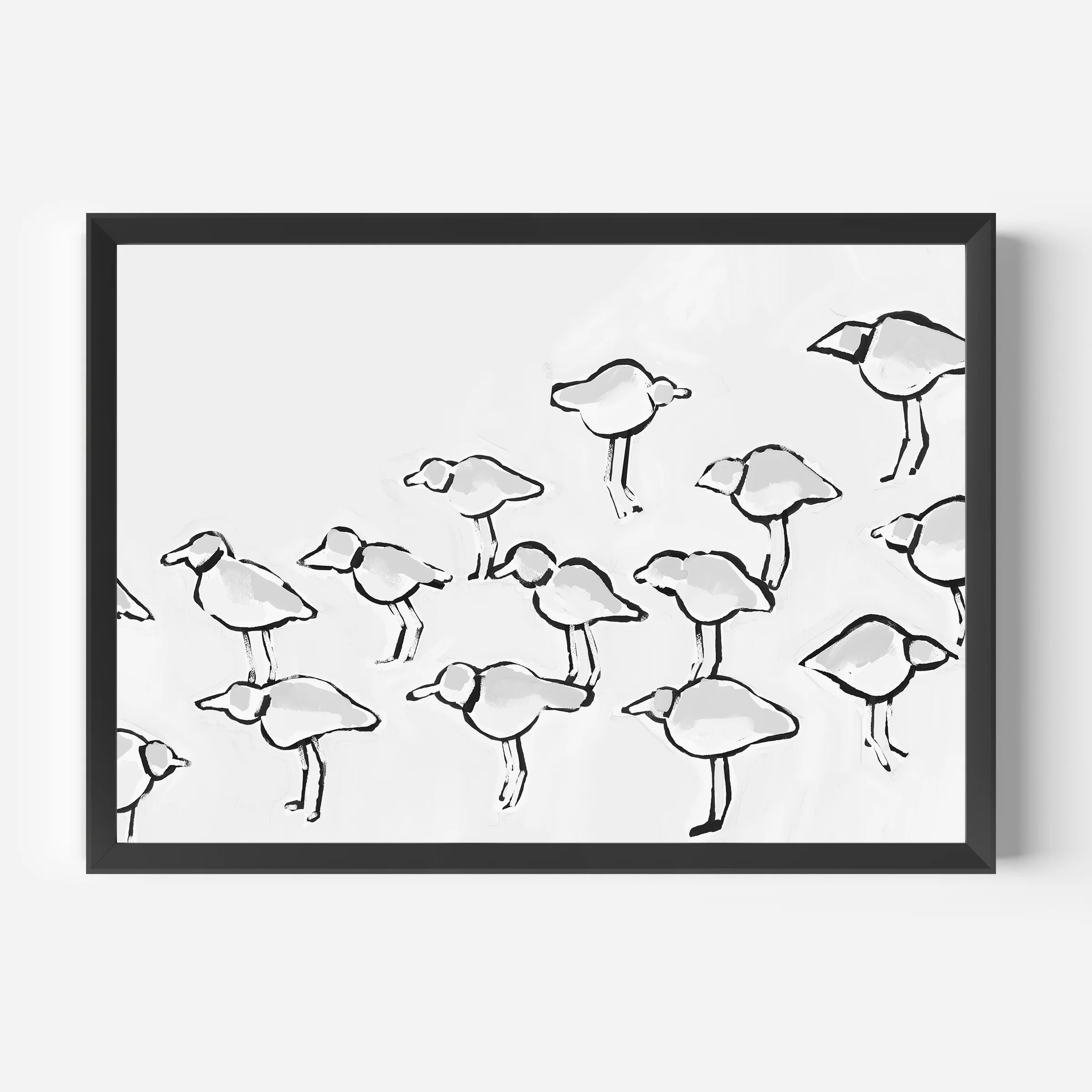 Black & White Piping Plover - Image 5