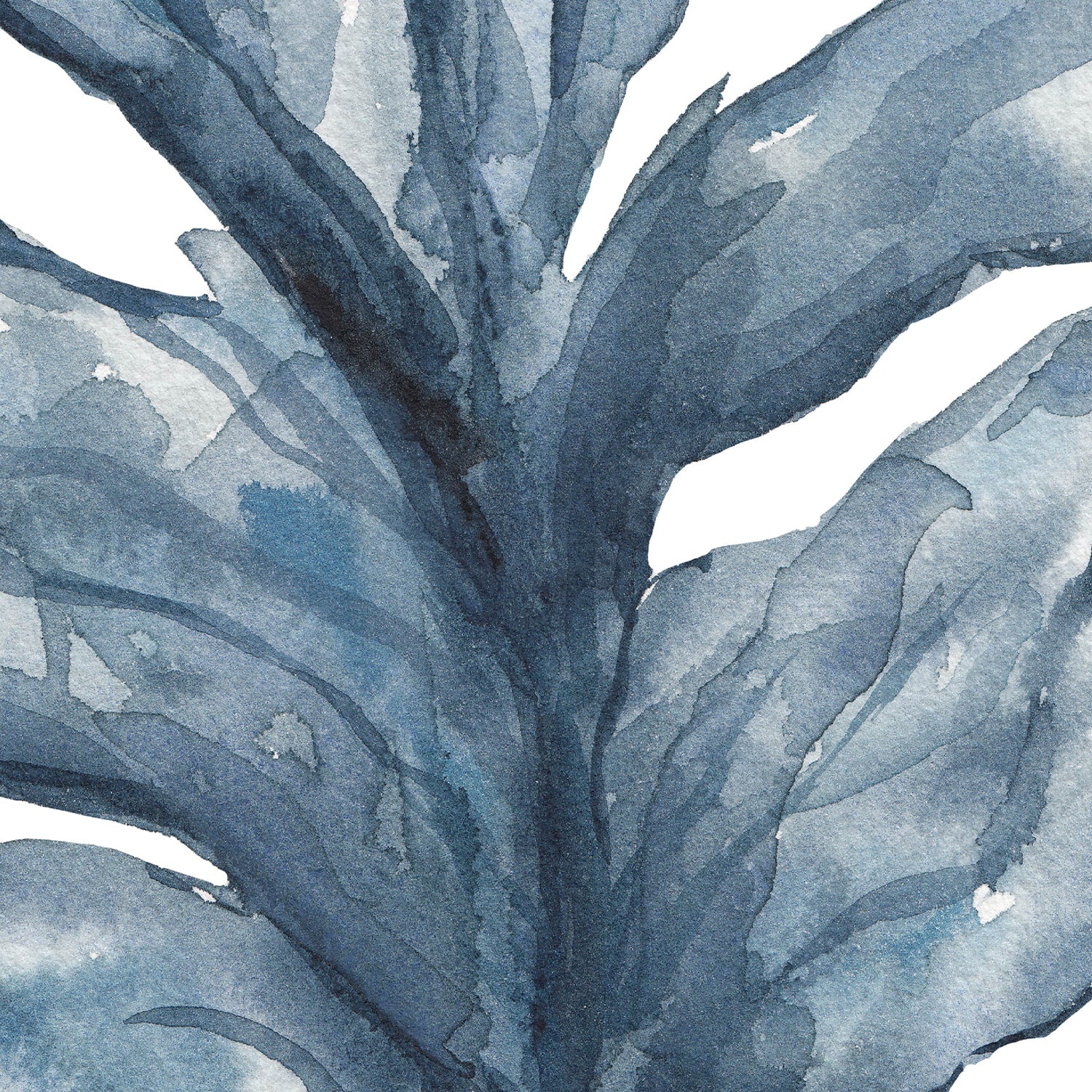 Blue Sea Lettuce Watercolor No. 1 - Image 15