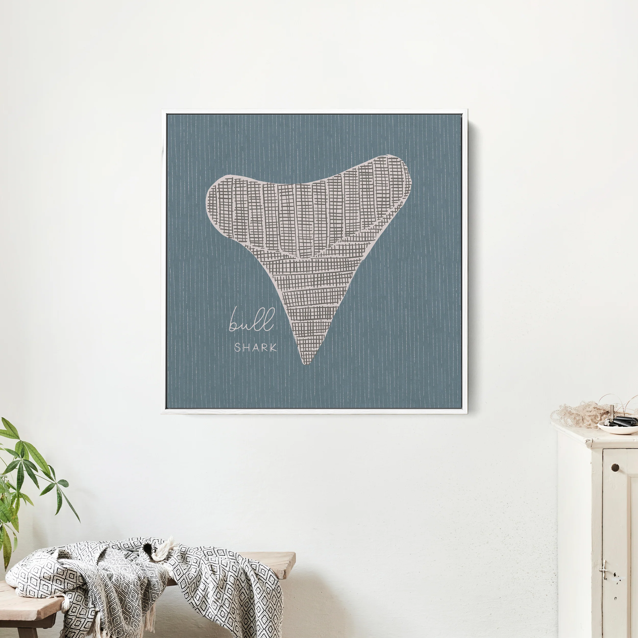 Bull Shark Tooth - Image 12