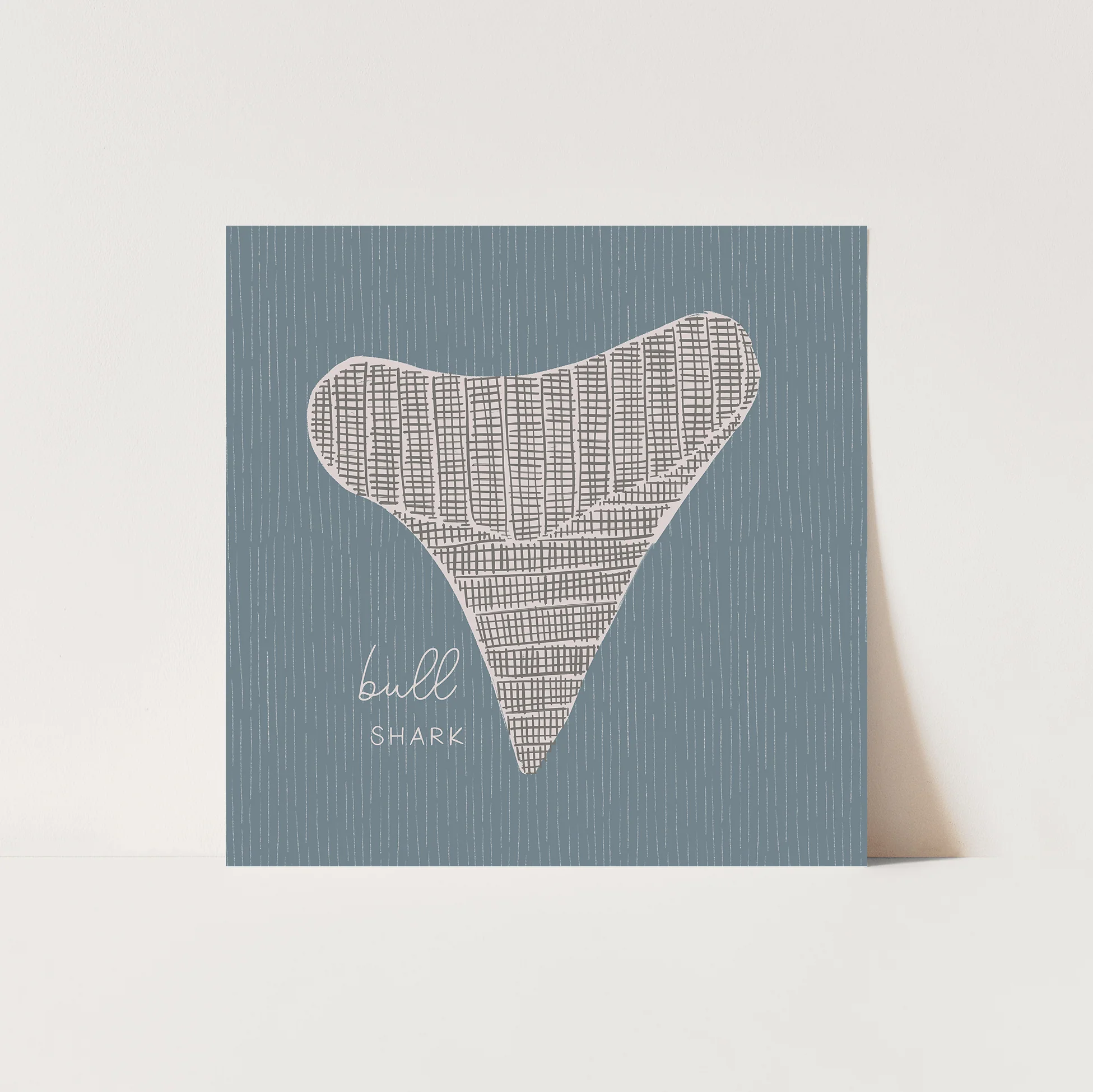 Bull Shark Tooth - Image 6