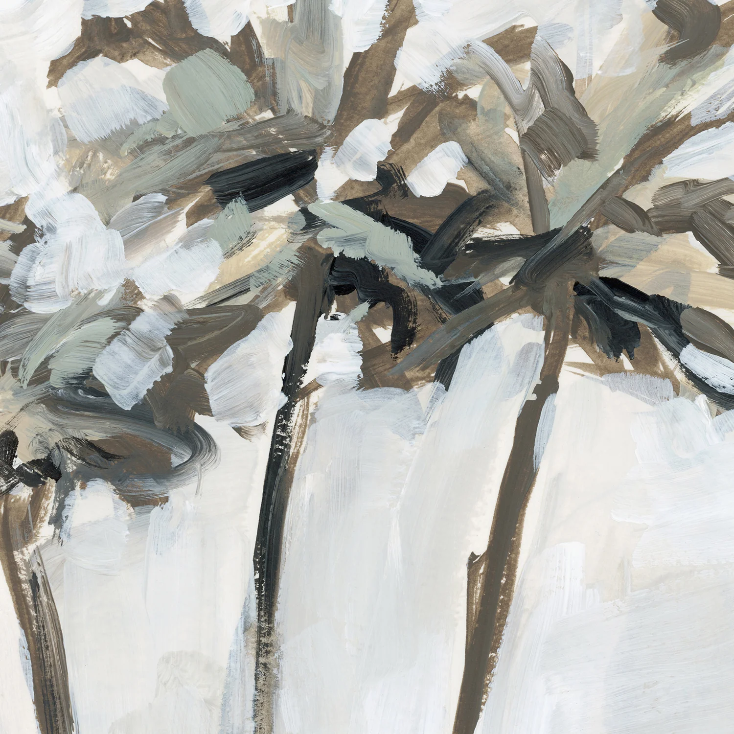 Coastal Palms - Image 16