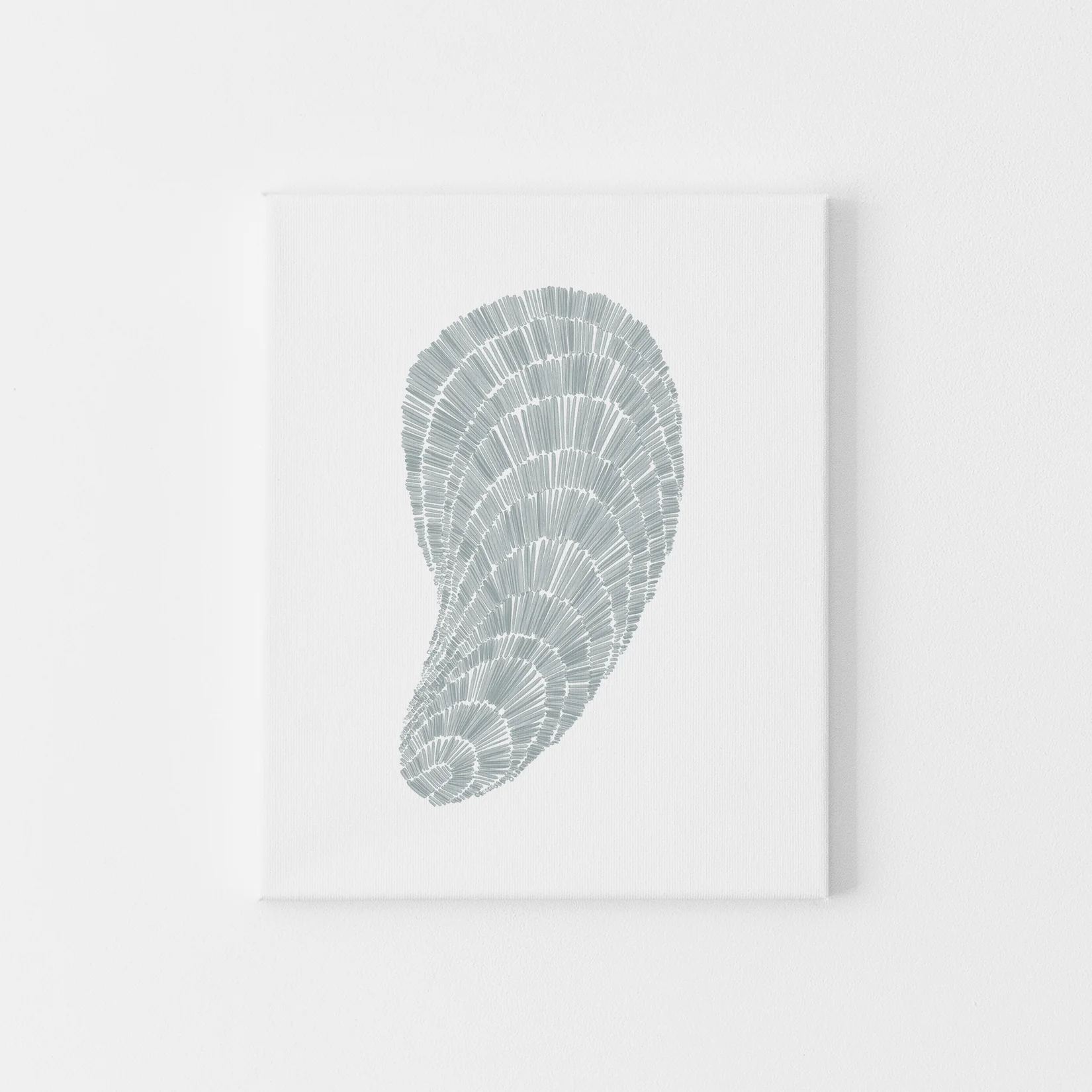 Deconstructed Mussel Shell - Image 5