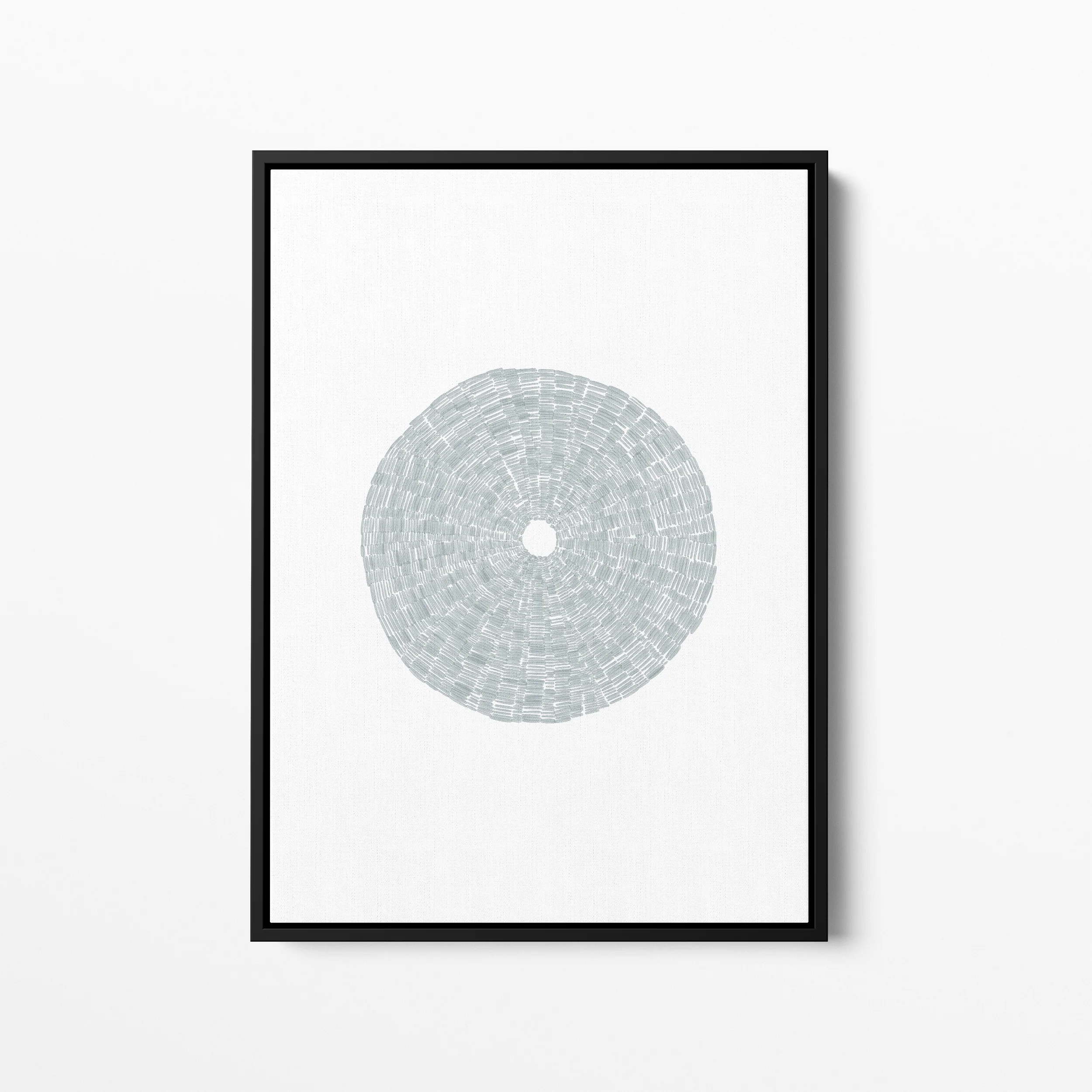 Deconstructed Sea Urchin Shell - Image 5