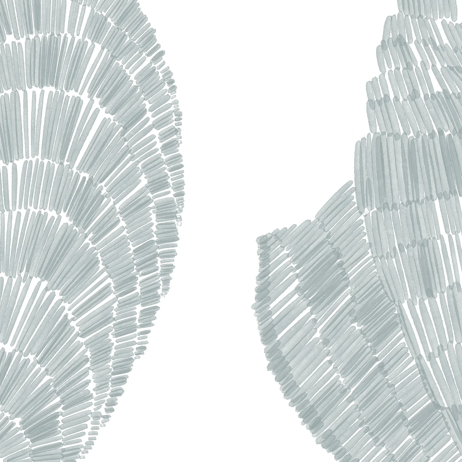 Deconstructed Seashells Panoramic - Image 10