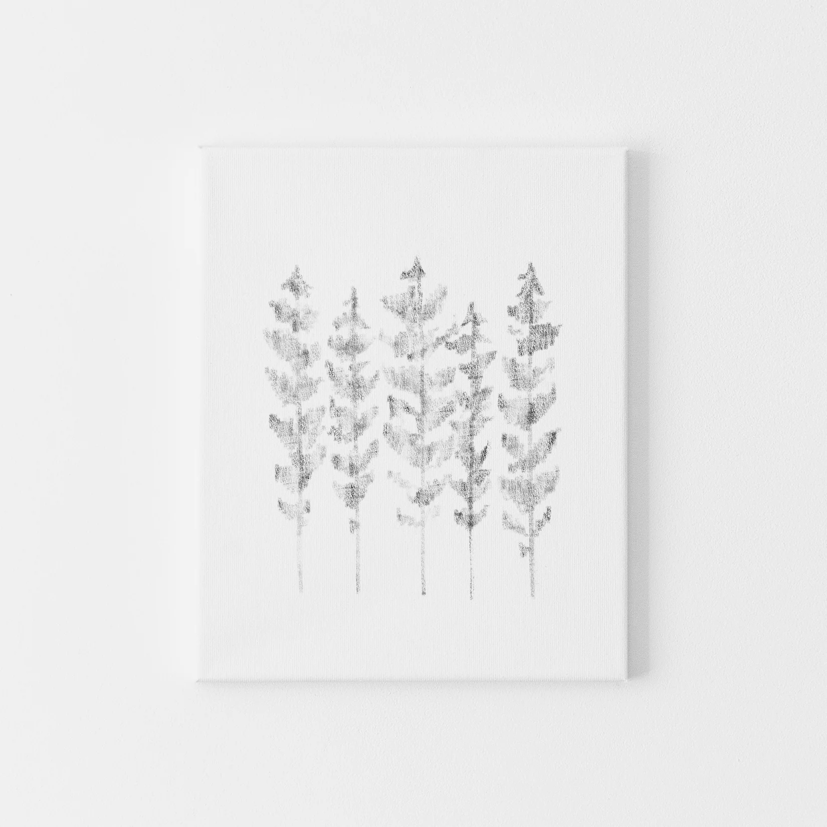 Echo in the Pines - Image 4