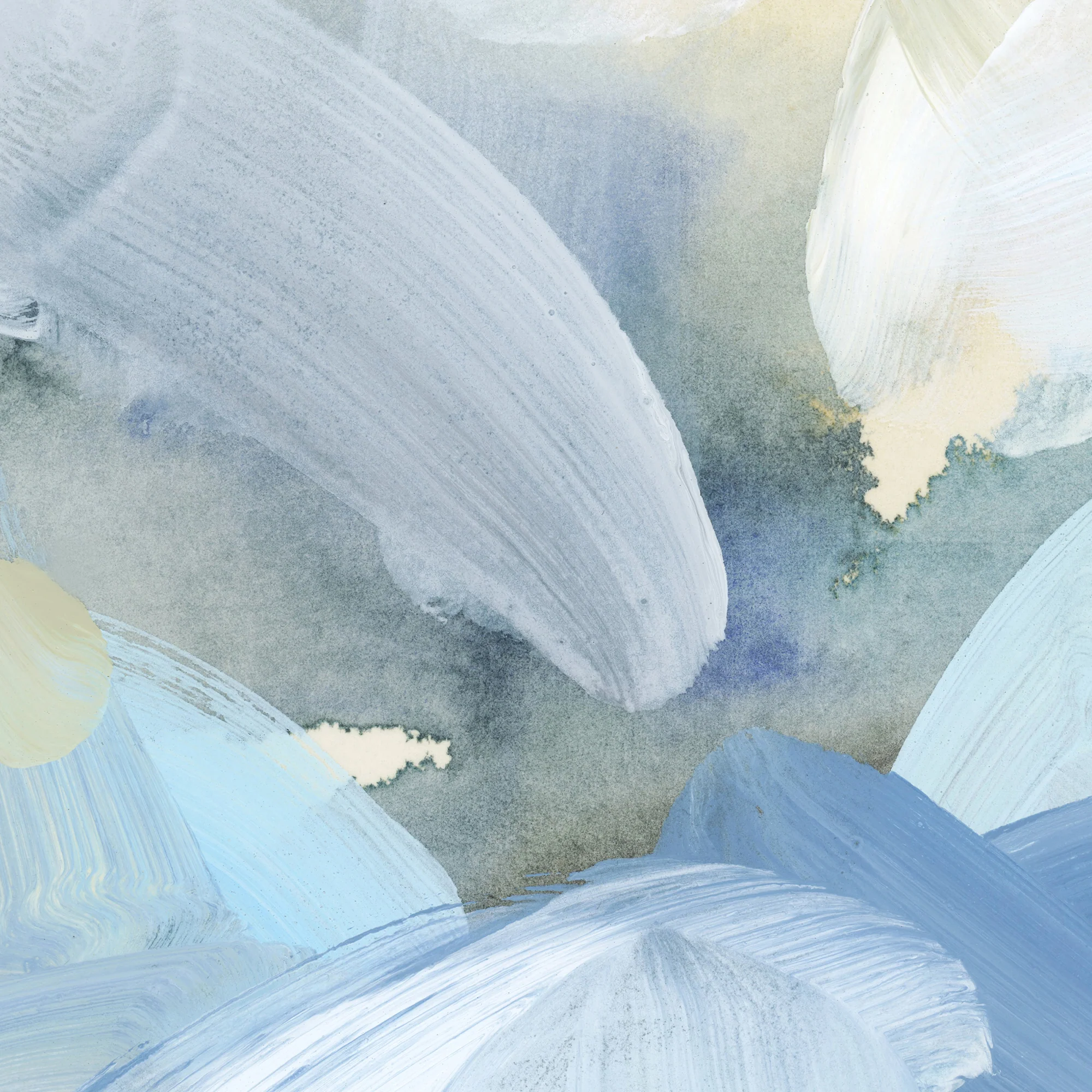 Fogged In Sunrise - Image 14