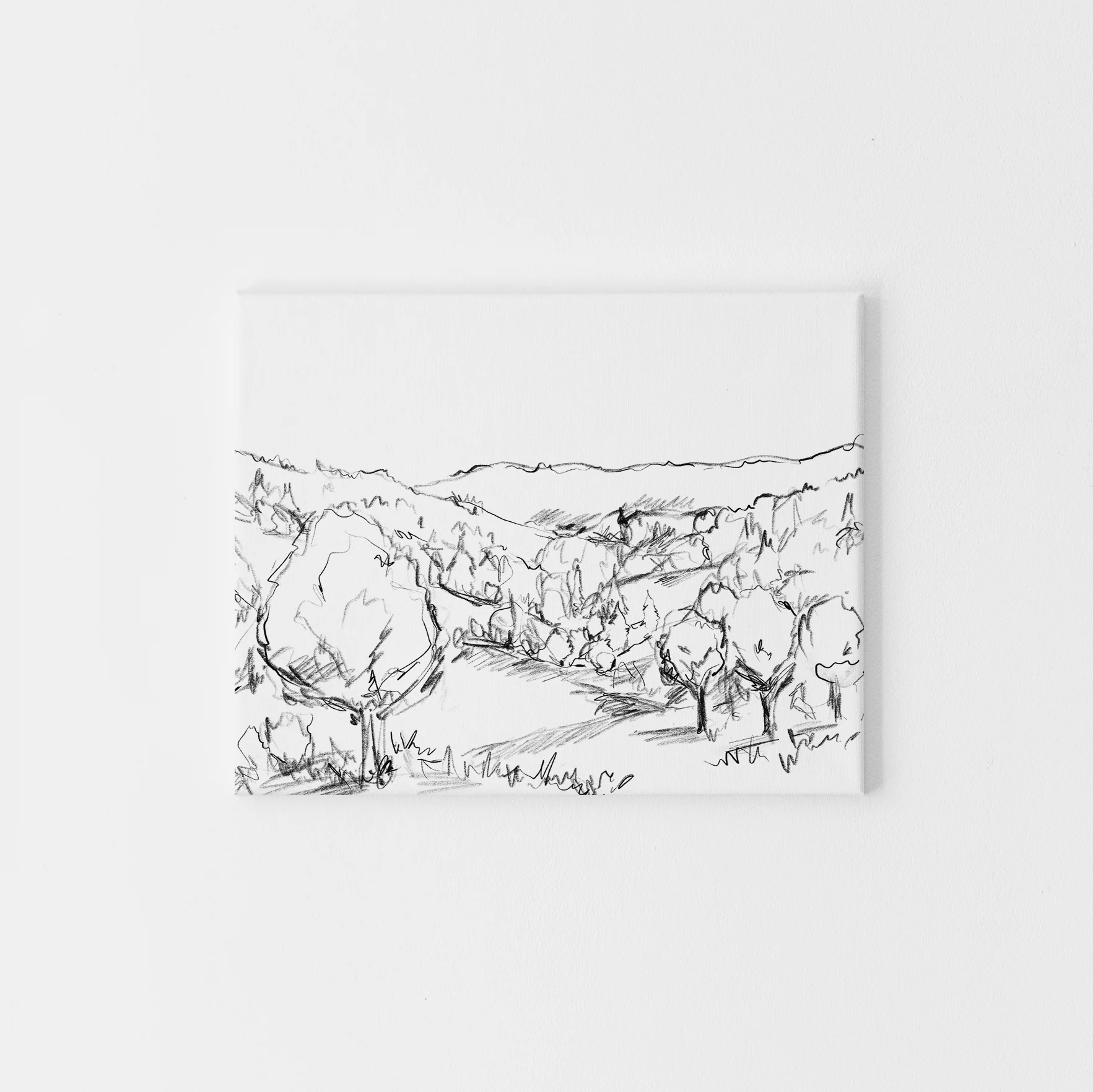 Forest Views Illustration - Image 3