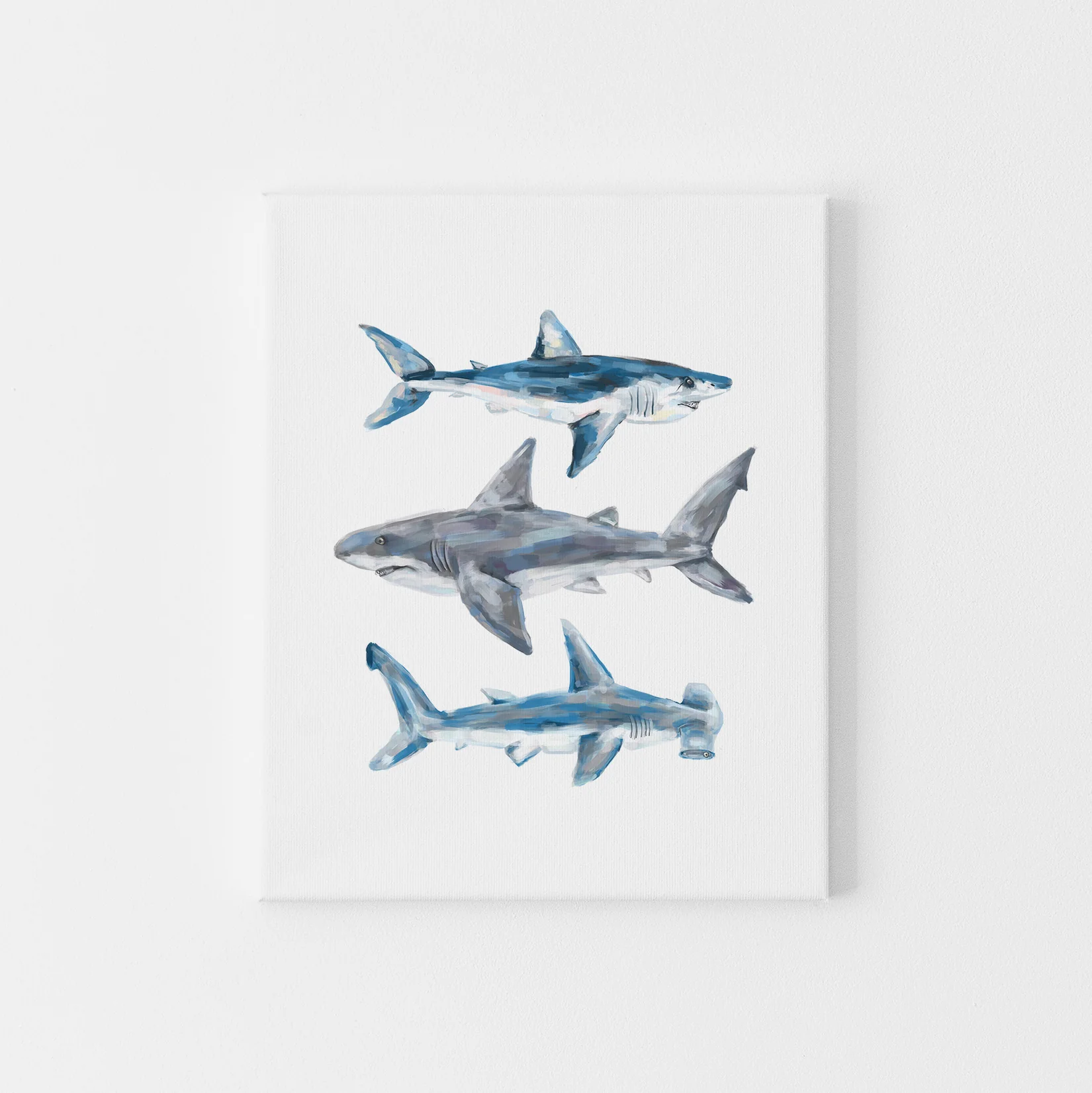 Great White, Mako + Hammerhead Shark - Image 7