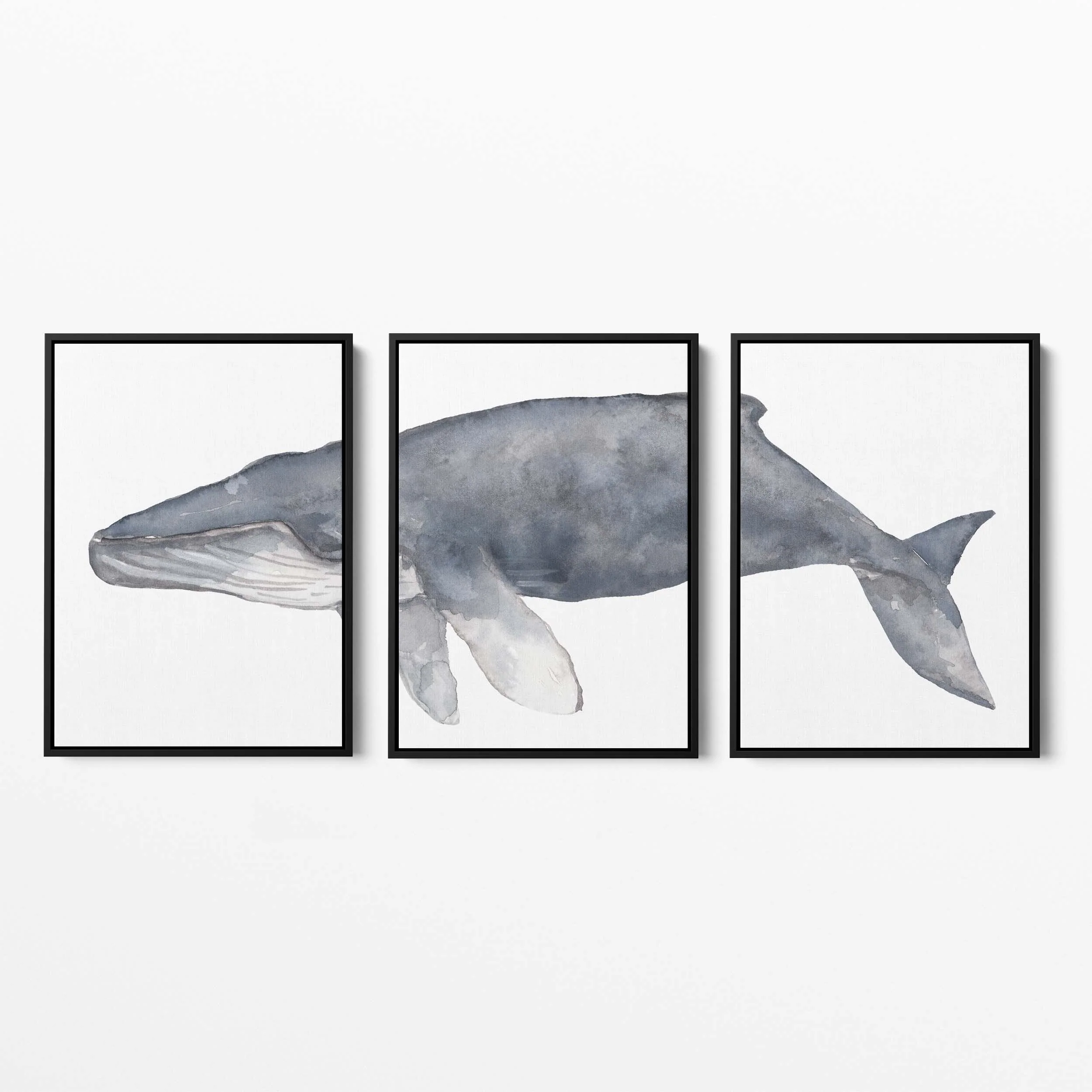 Humpback Whale Watercolor - Set of 3 - Image 5