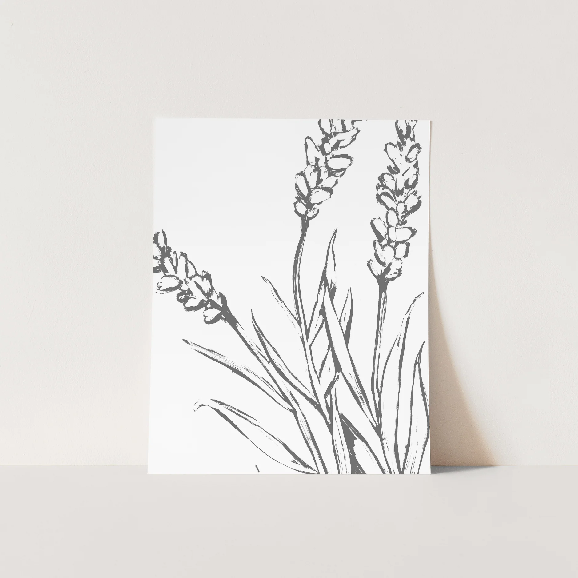 Lavender Blooms - Image 4