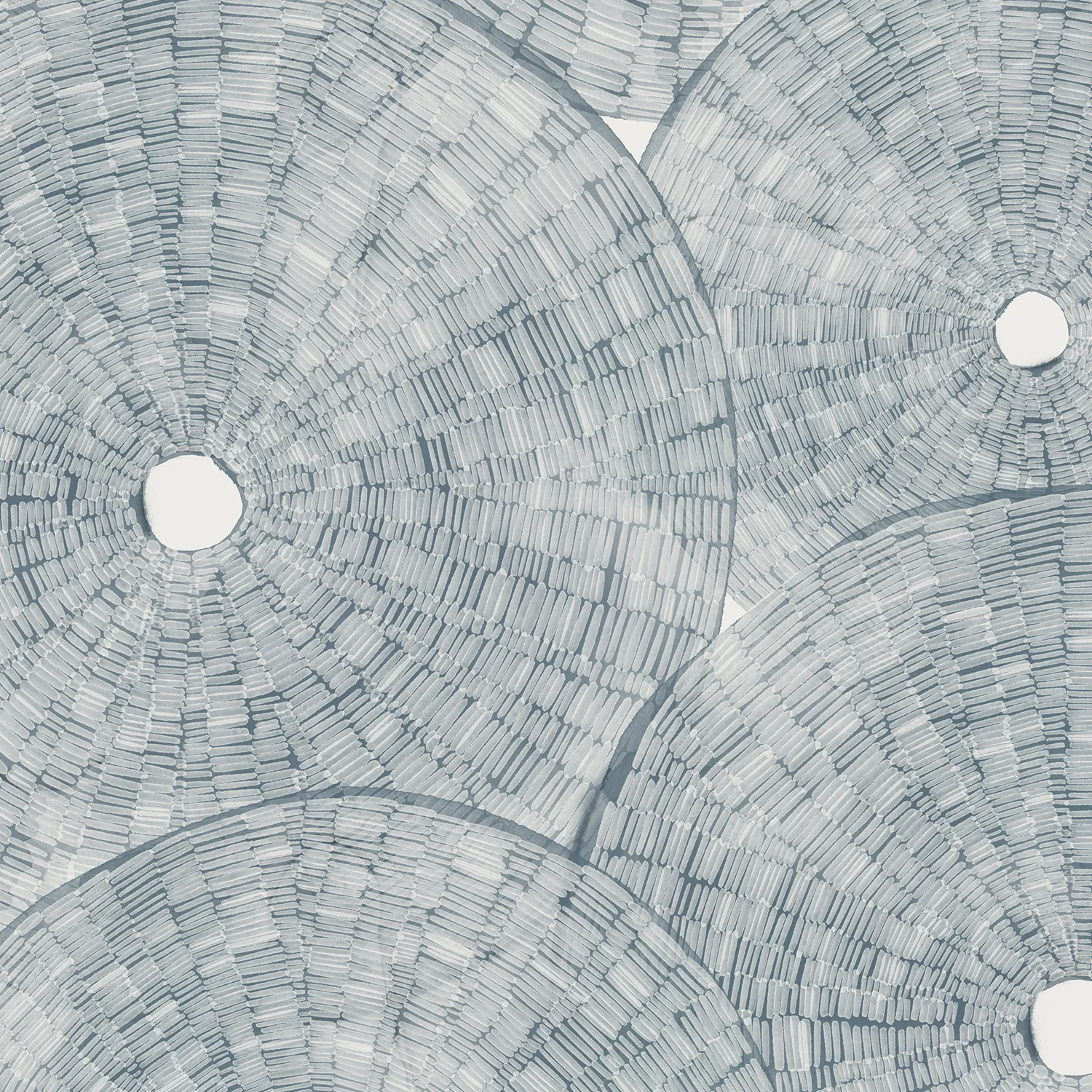 Layered Sea Urchins - Image 14