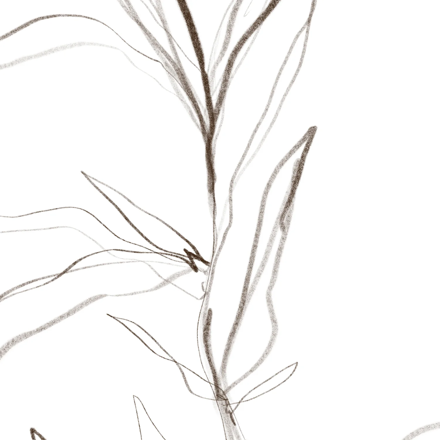 Minimalist Fall Plant Study, No. 3 - Image 12