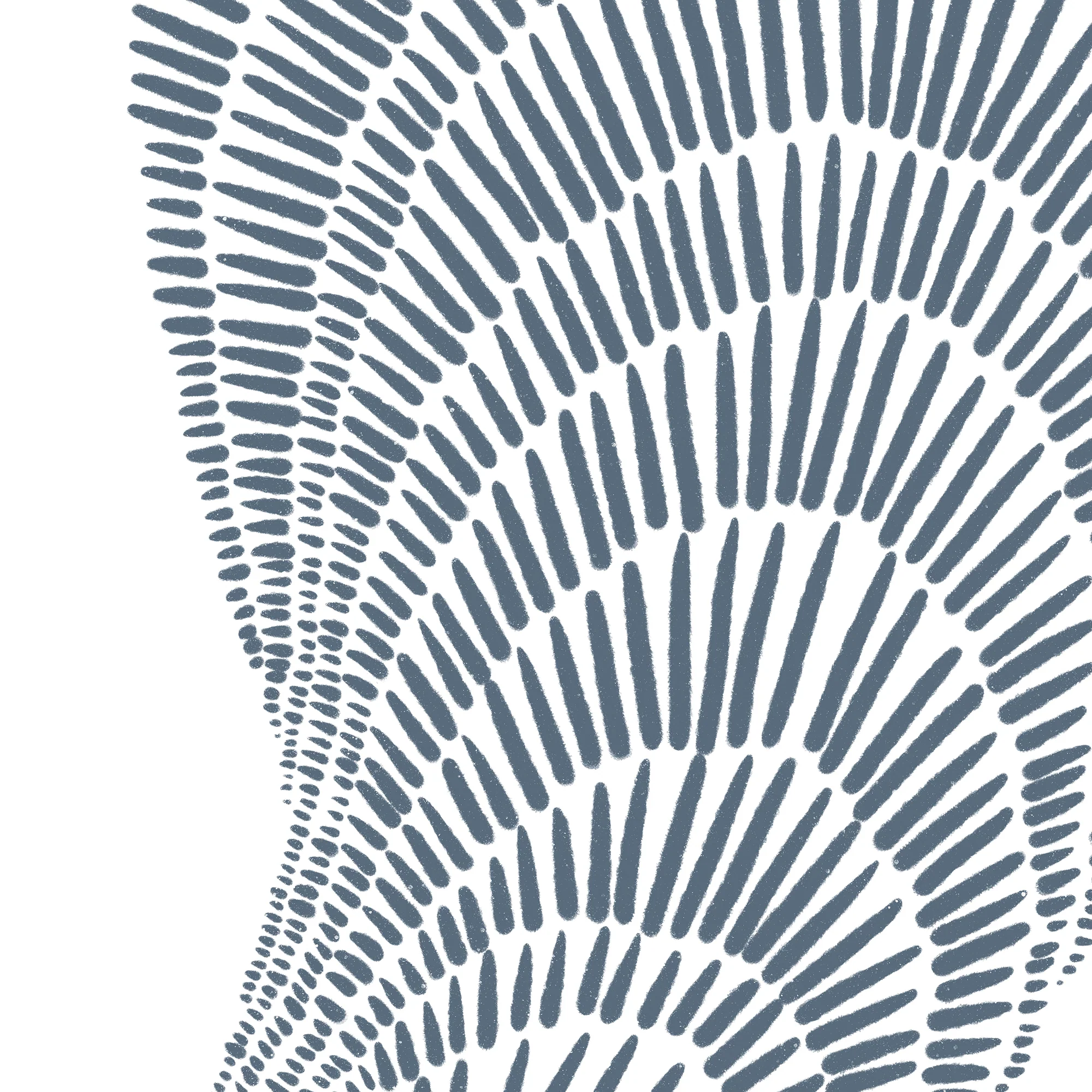 Minimalist Mussel - Image 14