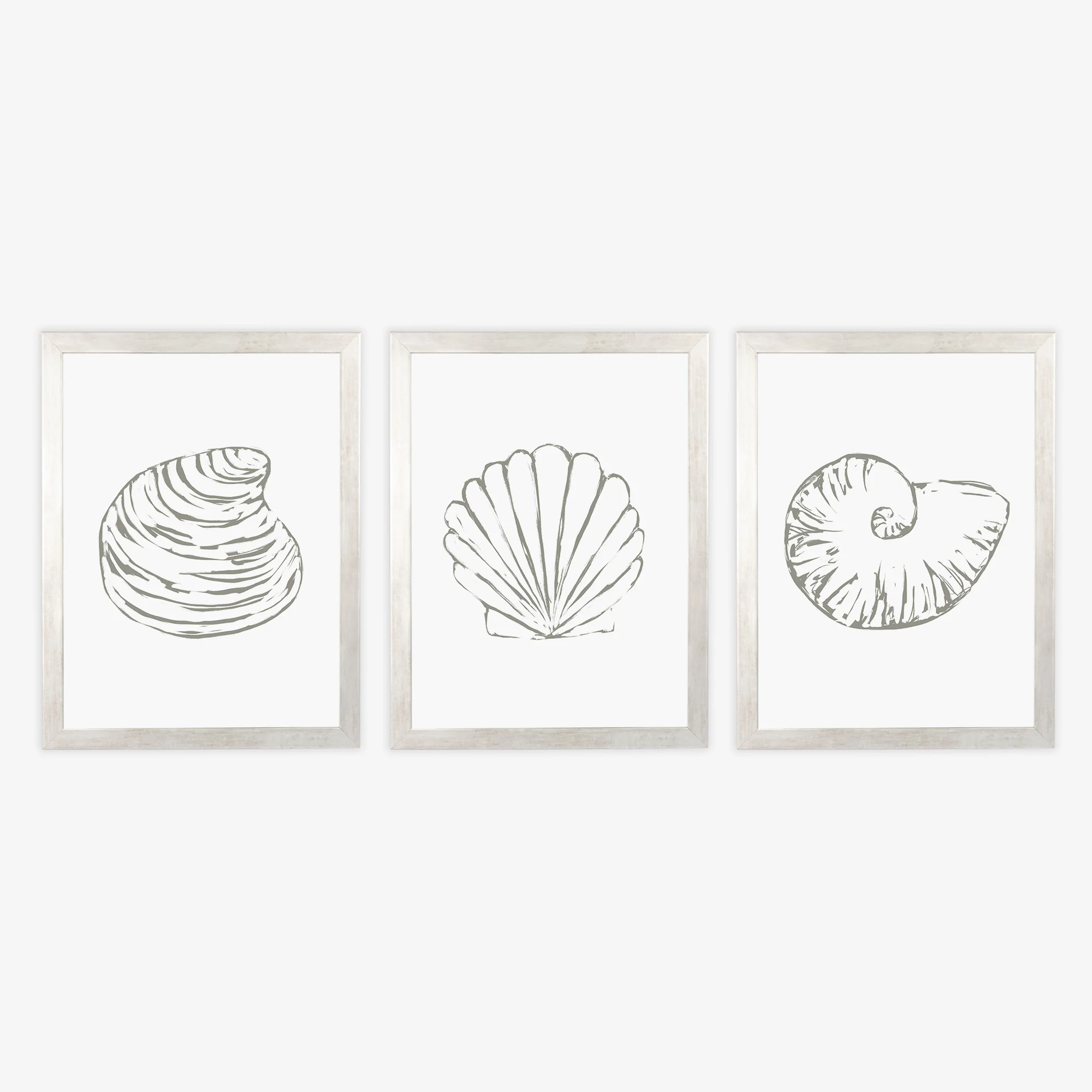 Minimalist Seashell Trio, No. 1 - Set of 3 - Image 3