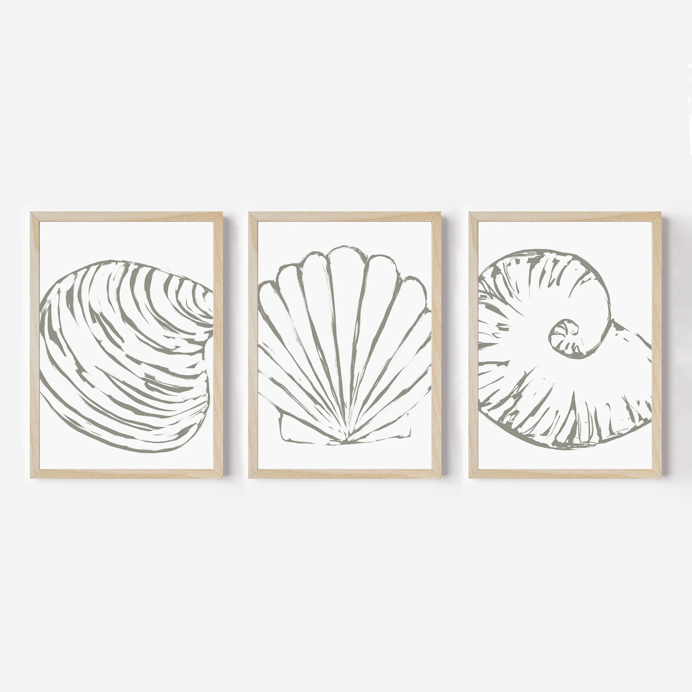 Minimalist Seashell Trio, No. 2 - Set of 3 - Image 3