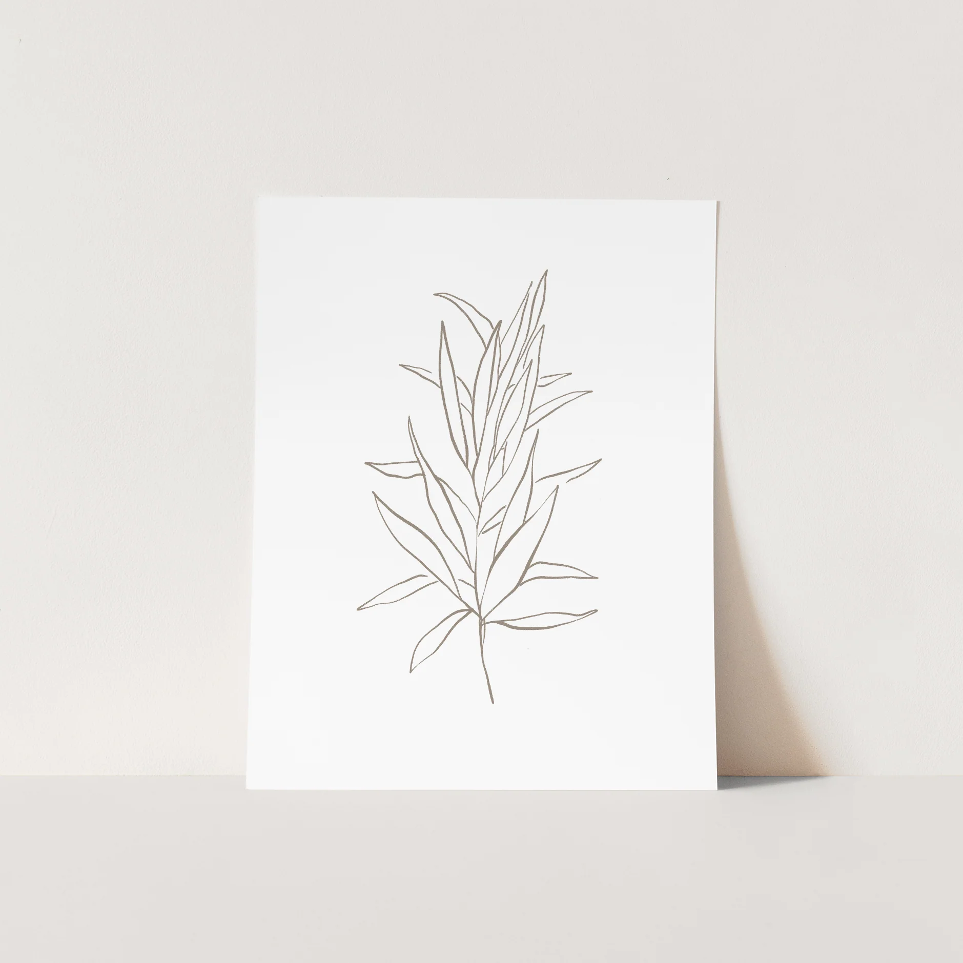 Eucalyptus Drawing, No. 4 - Image 5