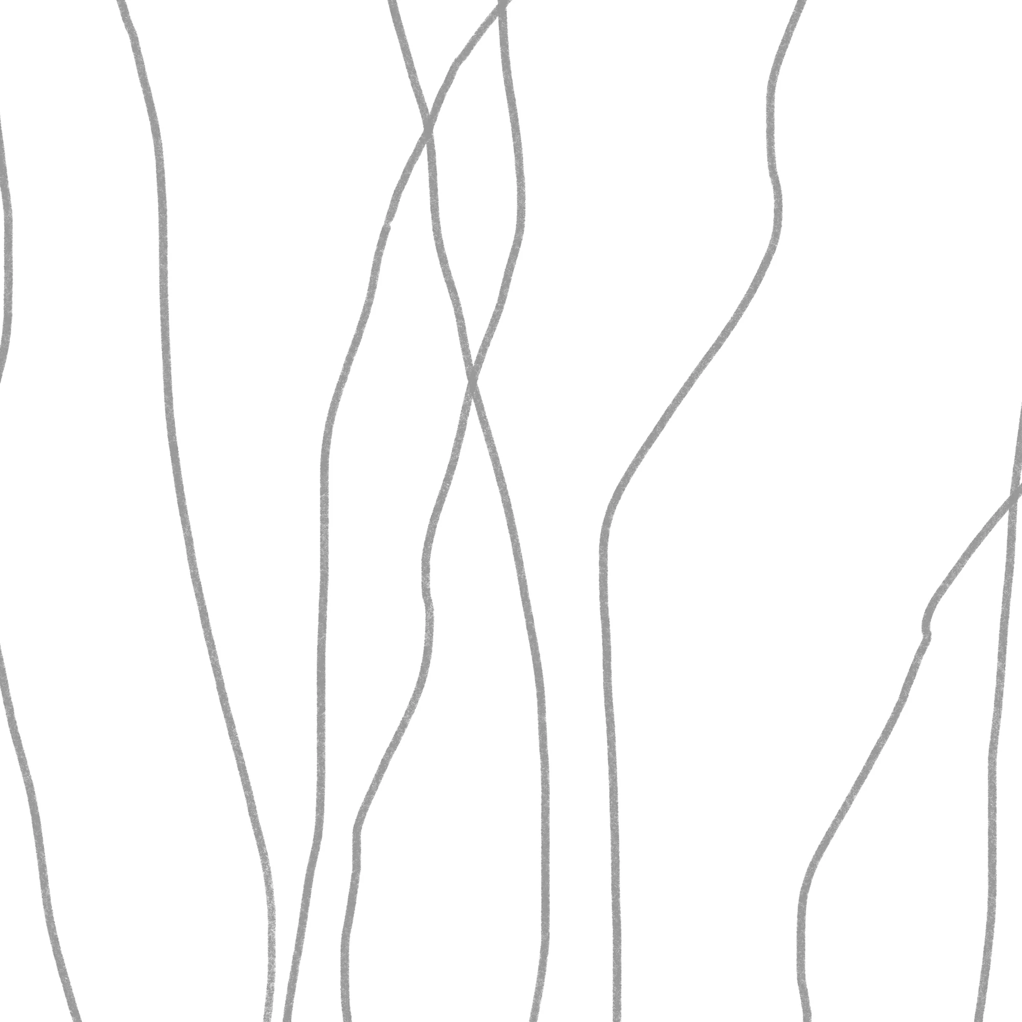Modern Minimalist Seaweed Illustration - Set of 2 - Image 13