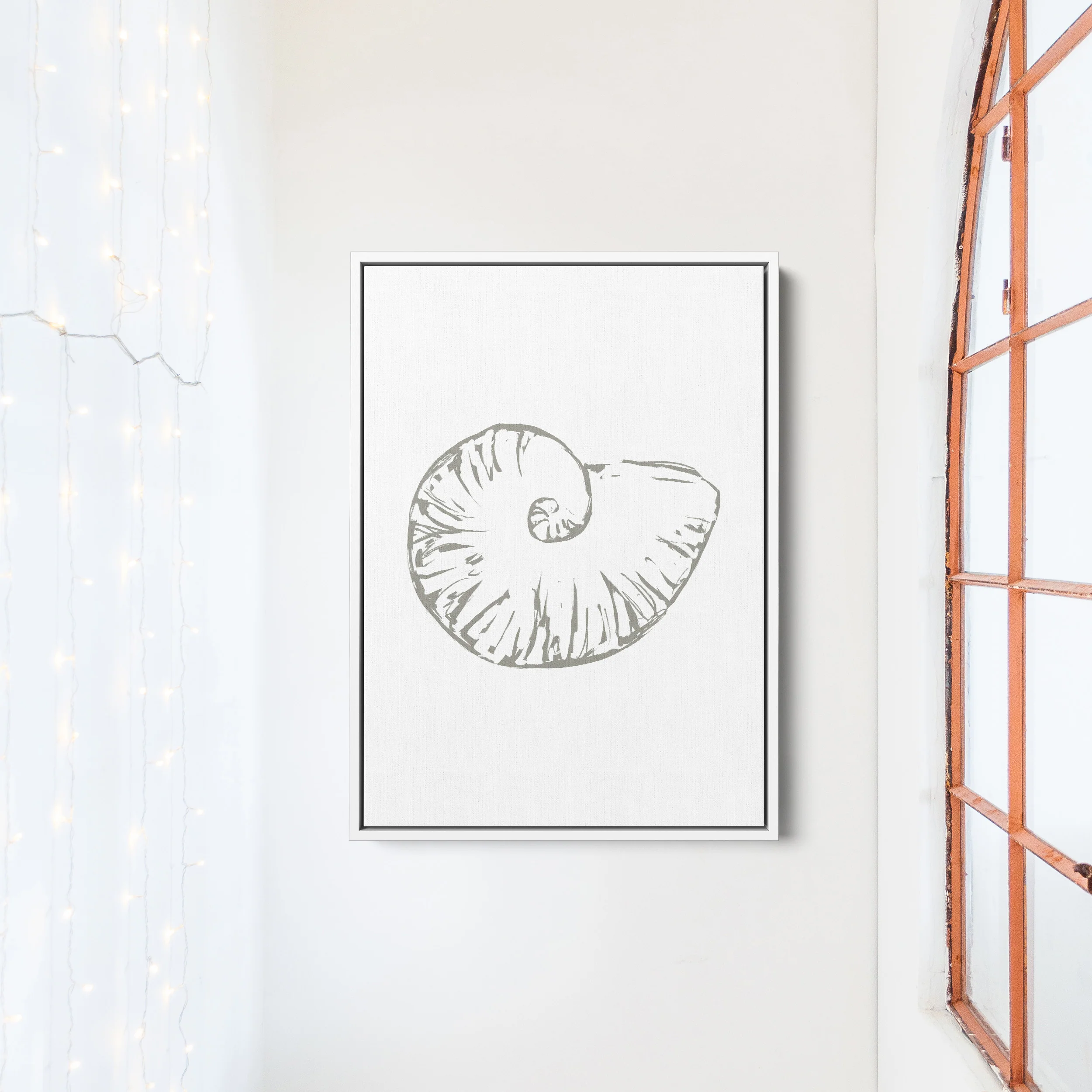 Nautilus Seashell - Image 12