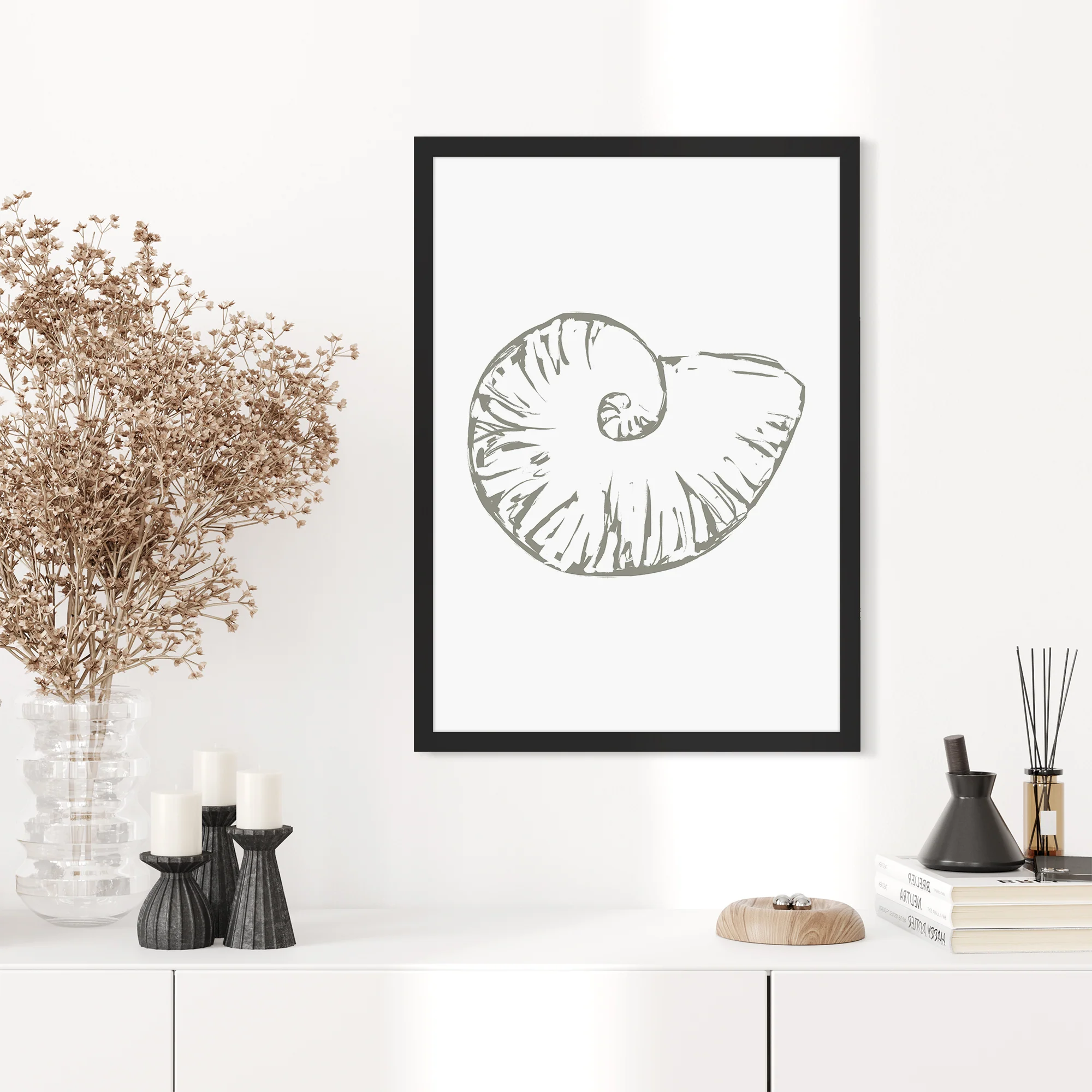 Nautilus Seashell - Image 13