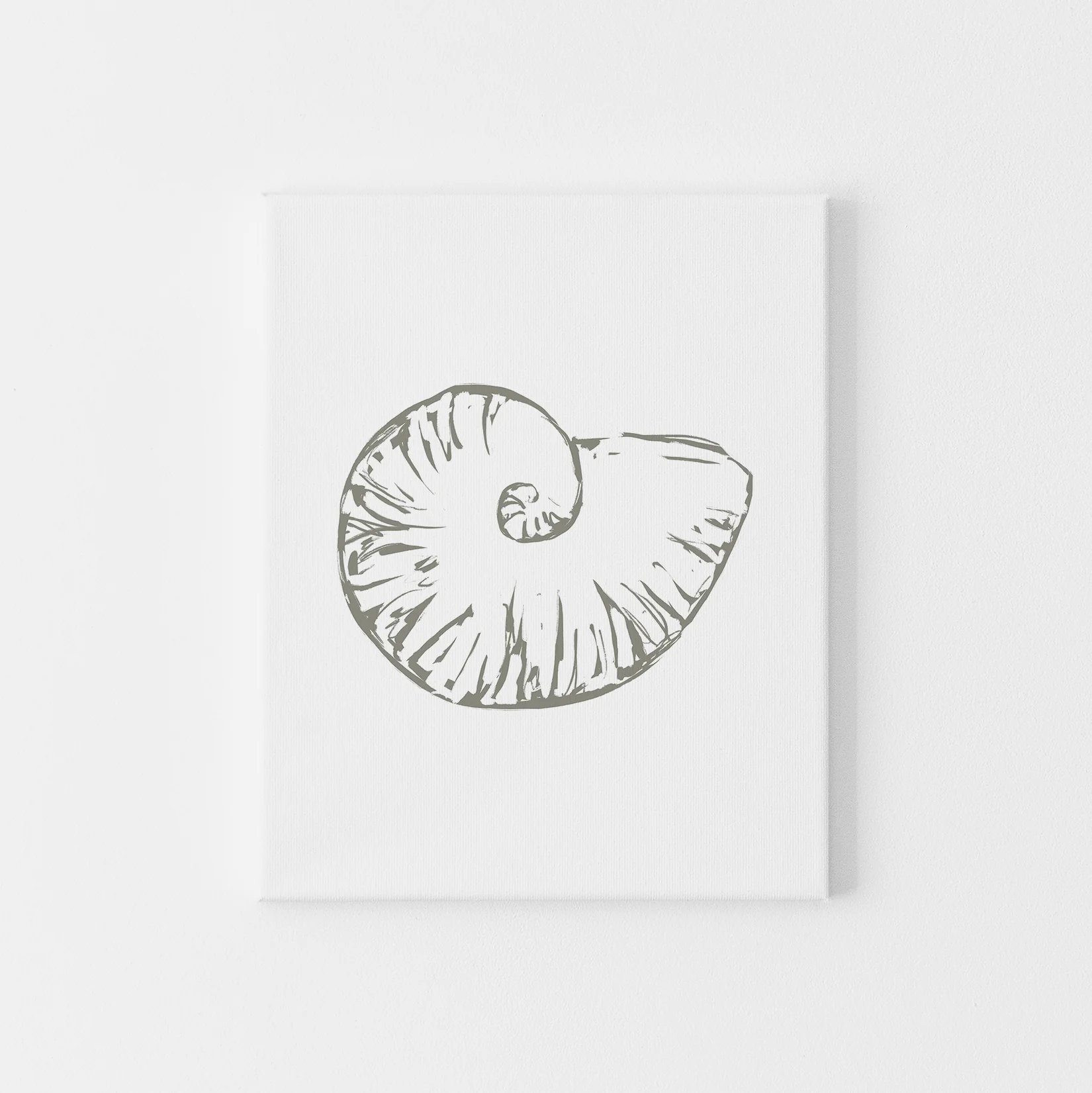 Nautilus Seashell - Image 4