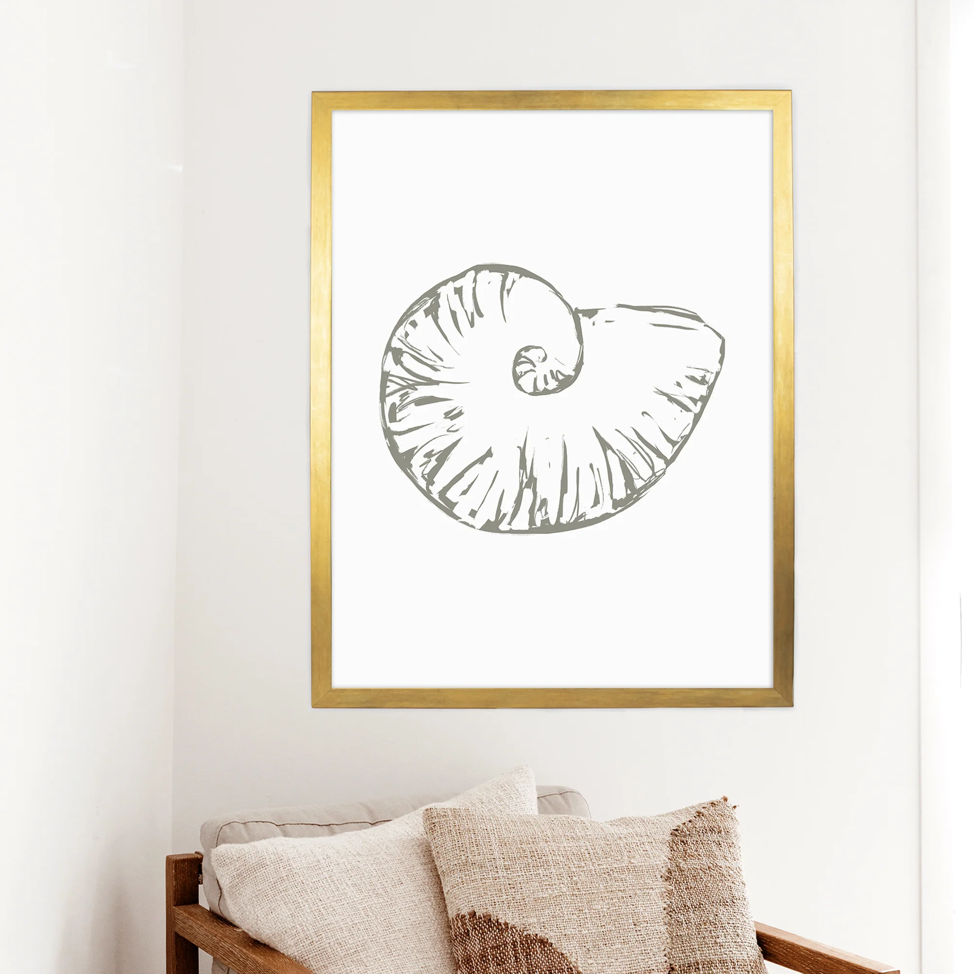 Nautilus Seashell - Image 6