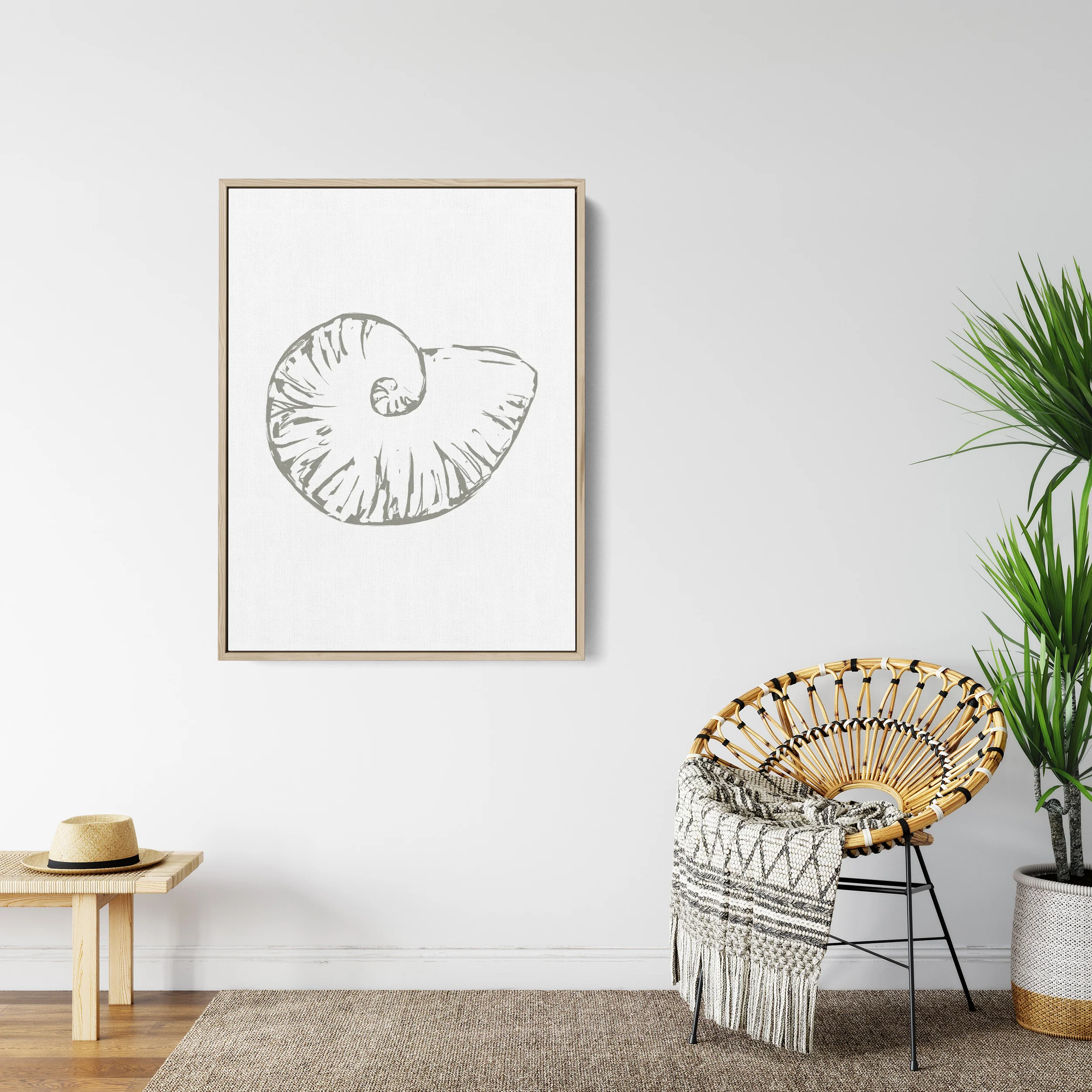 Nautilus Seashell - Image 7