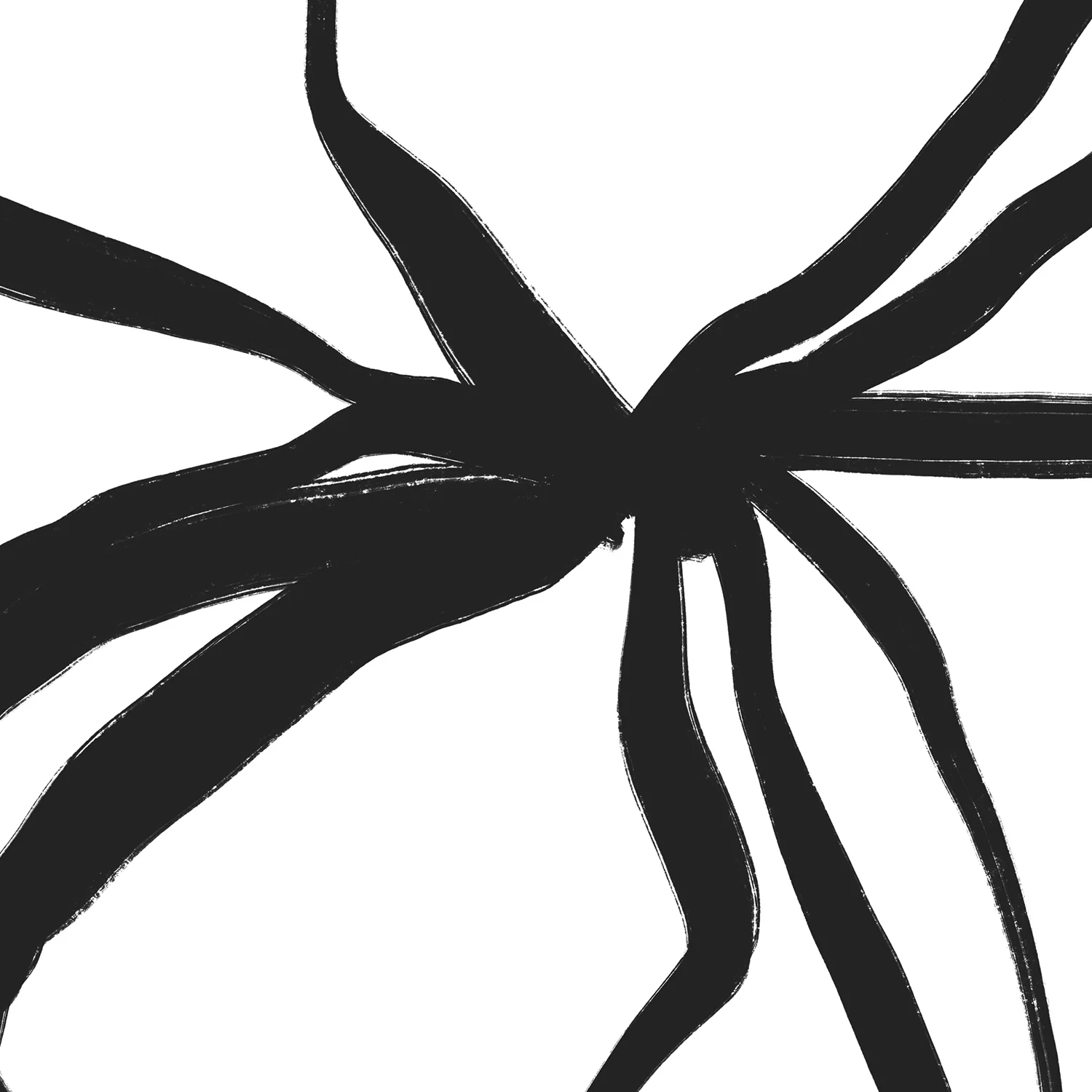 Plant Line Drawings - Set of 3 - Image 13