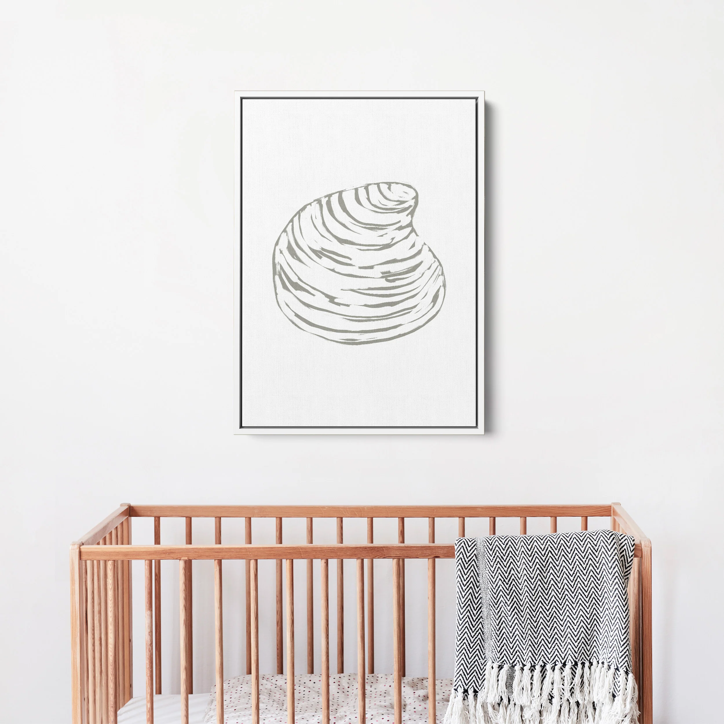 Quahog Seashell - Image 11