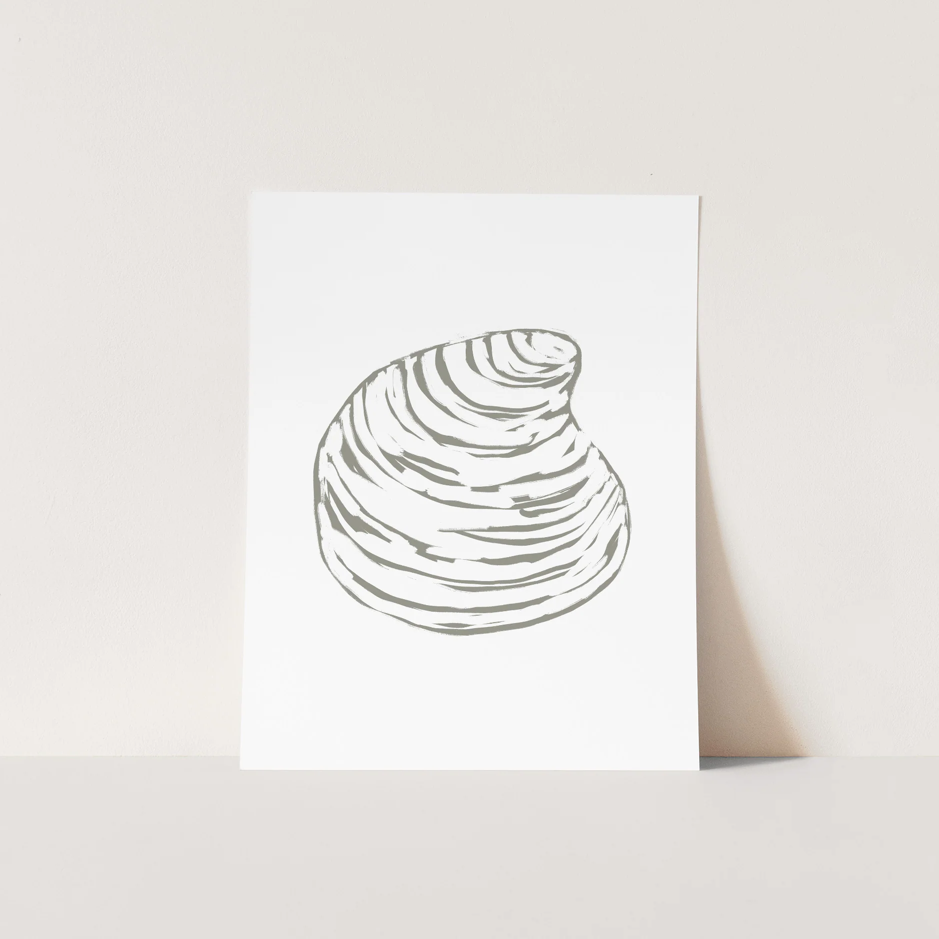 Quahog Seashell - Image 4