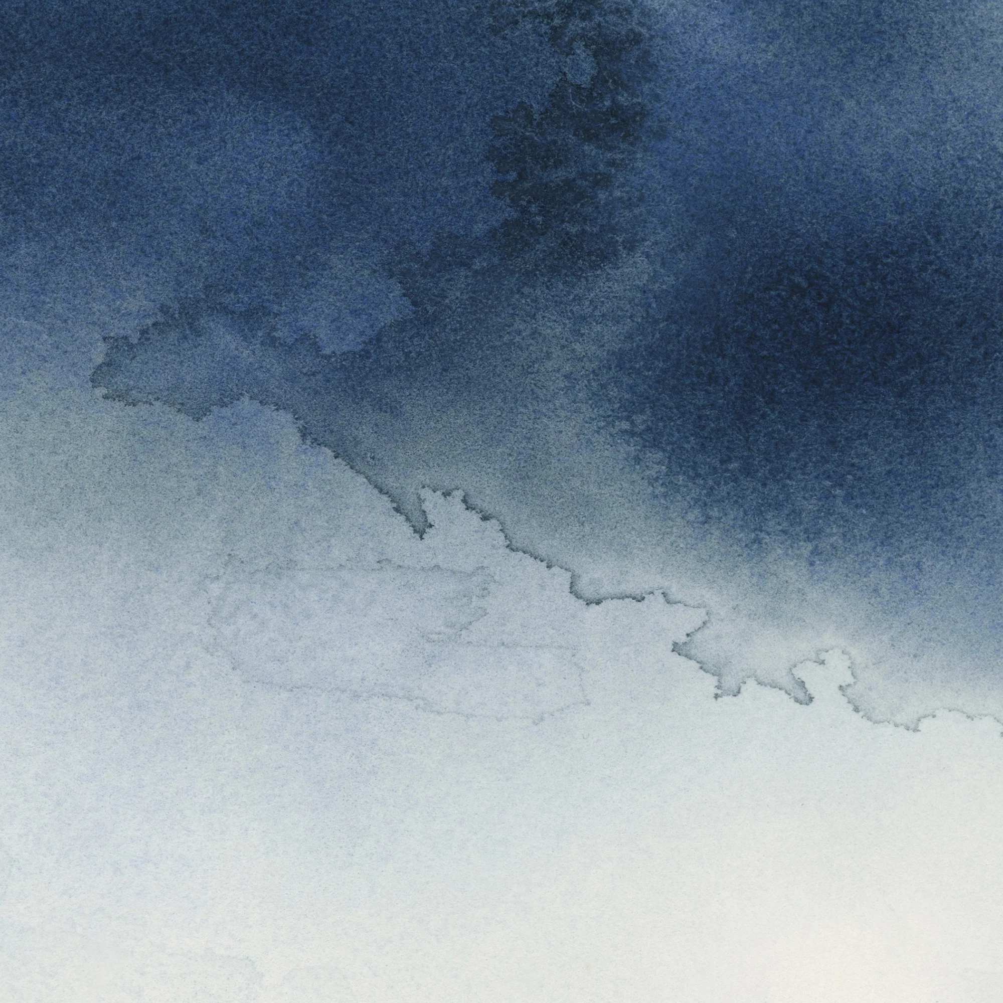 Saltwater Studies, No. 2 - Image 14