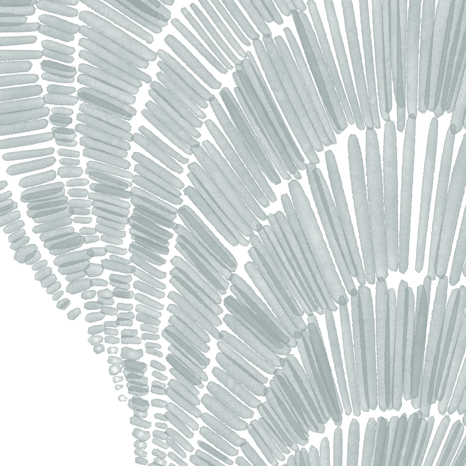 Salty Mussel Shell - Image 14