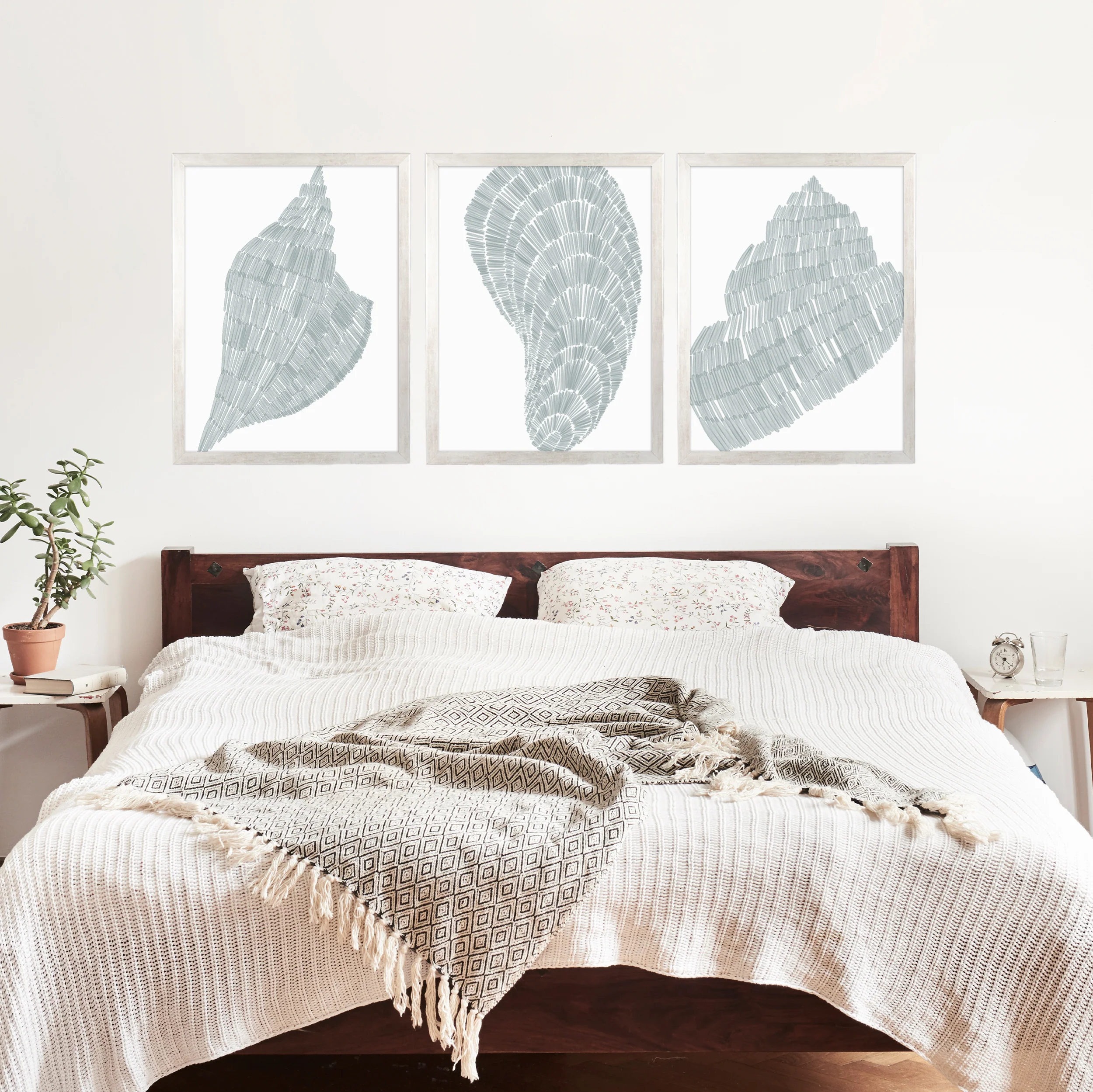 Salty Shells Triptych - Set of 3 - Image 11