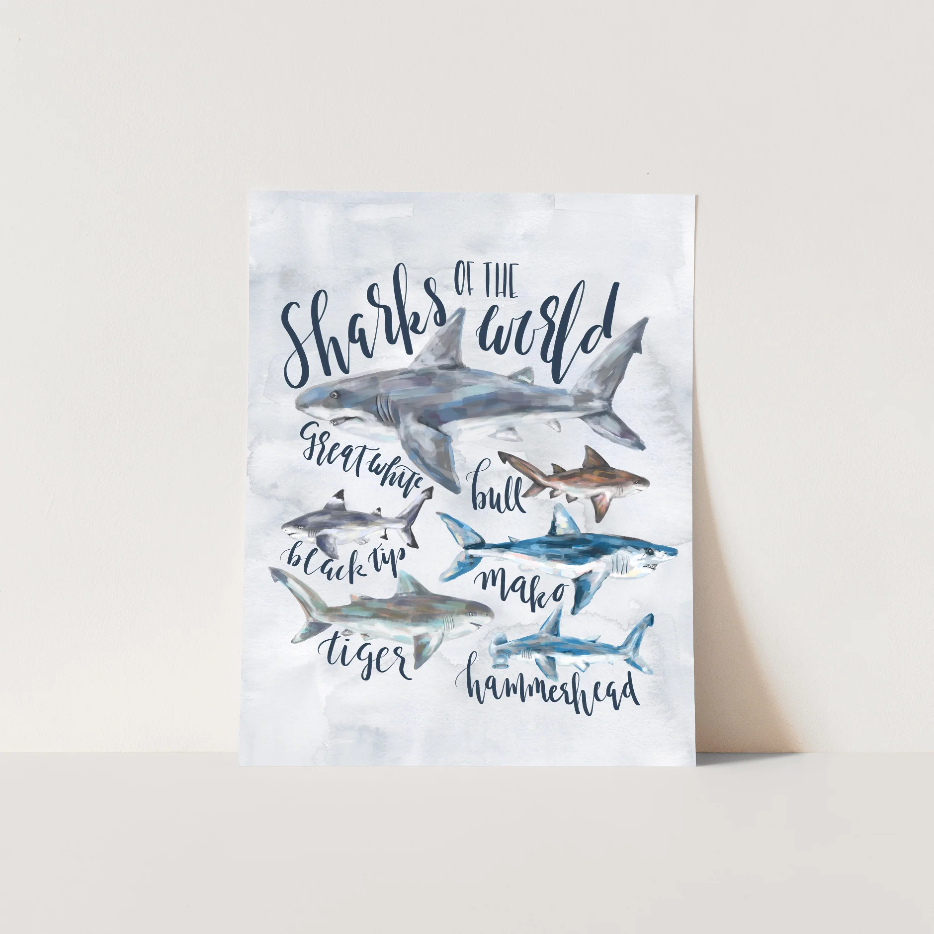 Sharks of the World - Image 5
