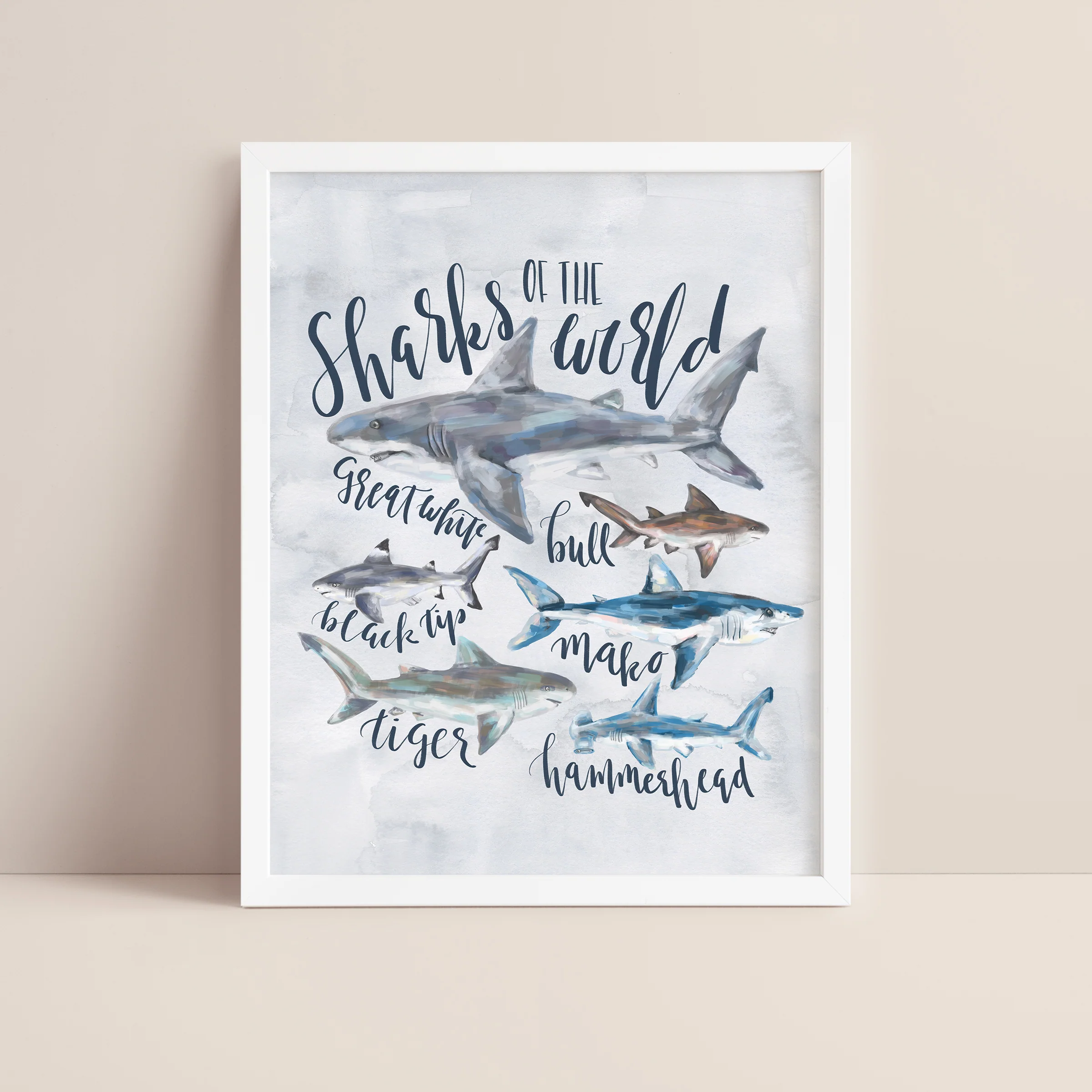 Sharks of the World - Image 6