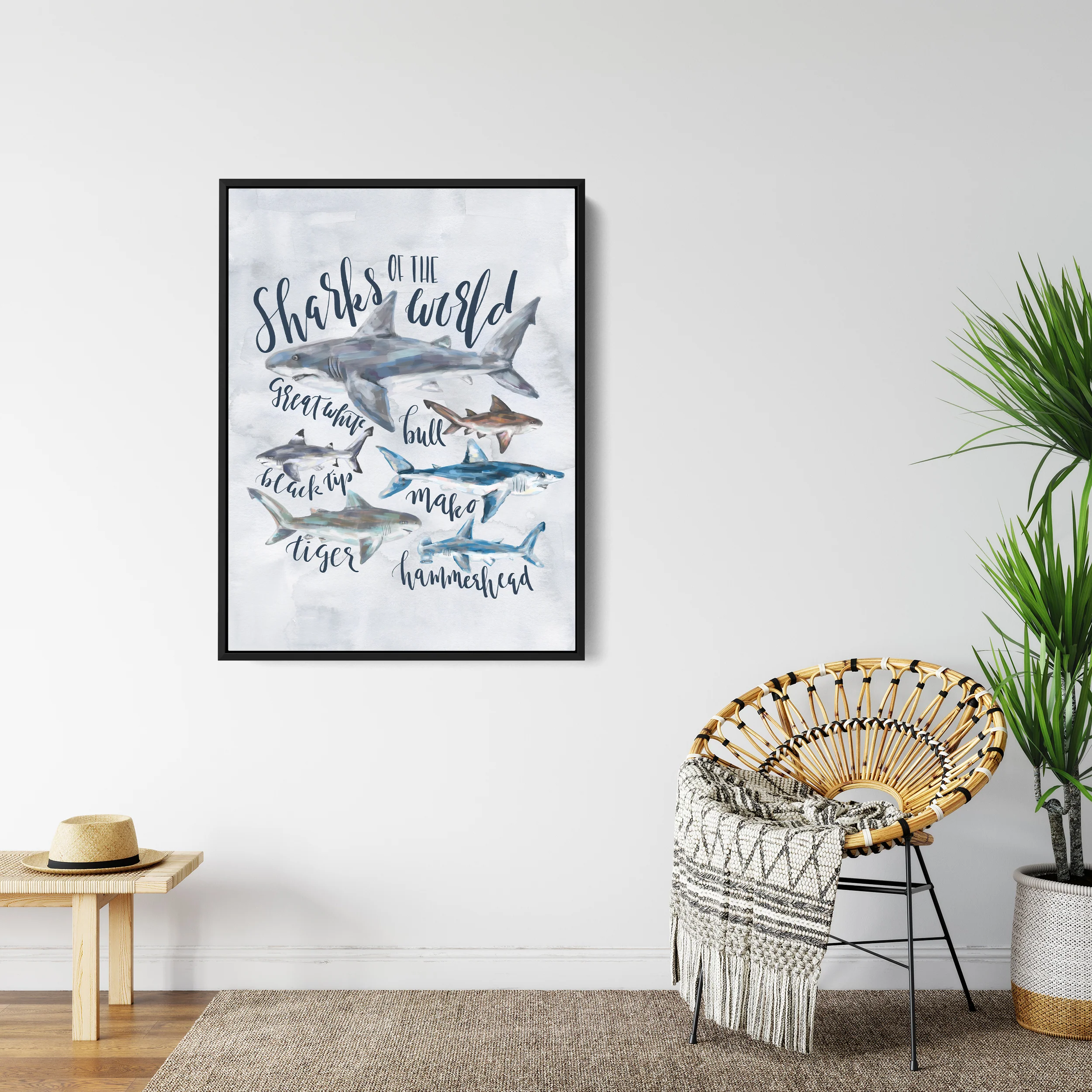 Sharks of the World - Image 7