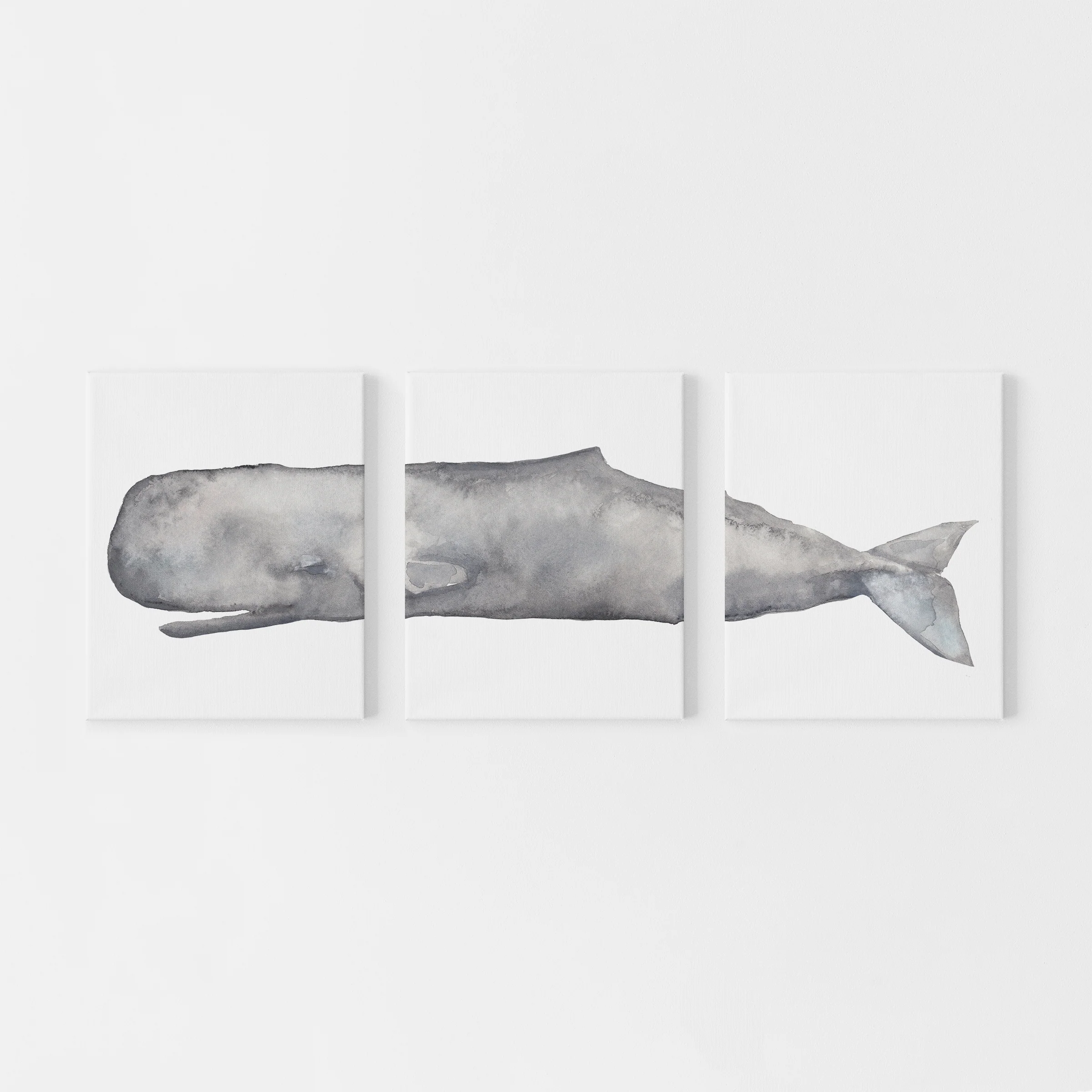 Sperm Whale Watercolor - Set of 3 - Image 4