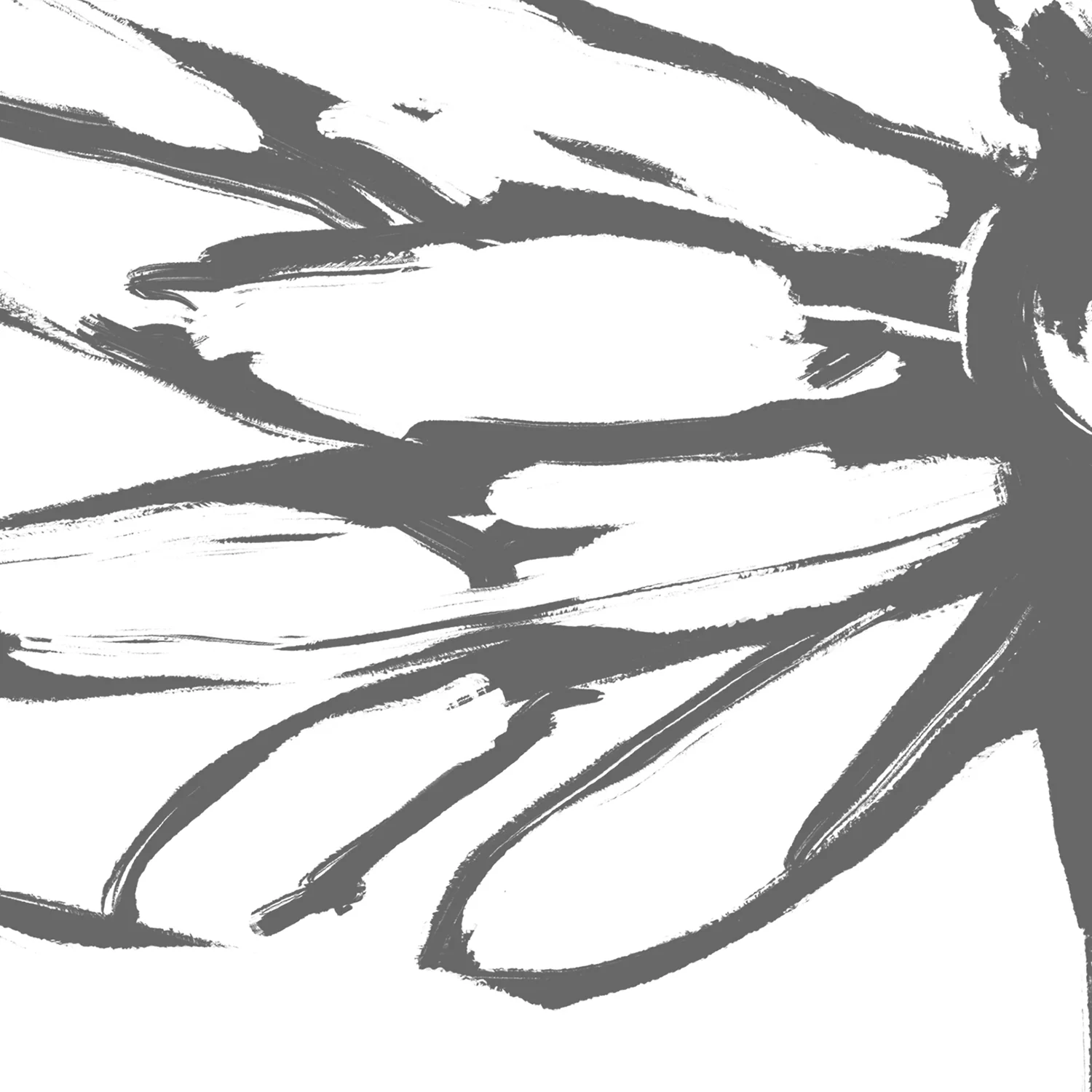 The Dragonfly - Image 14