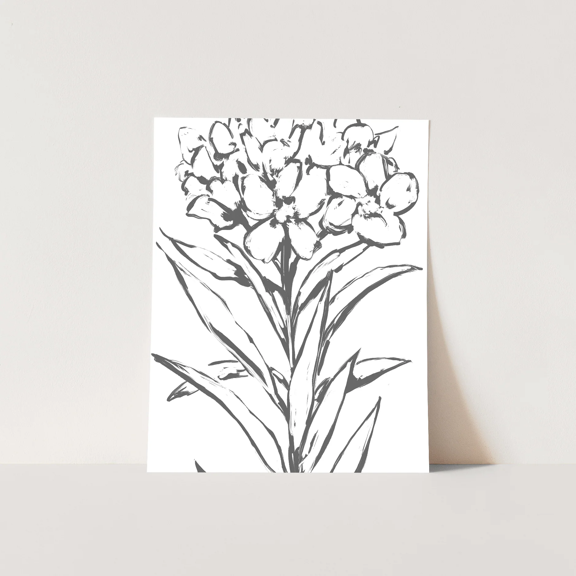 The Oleander - Image 6