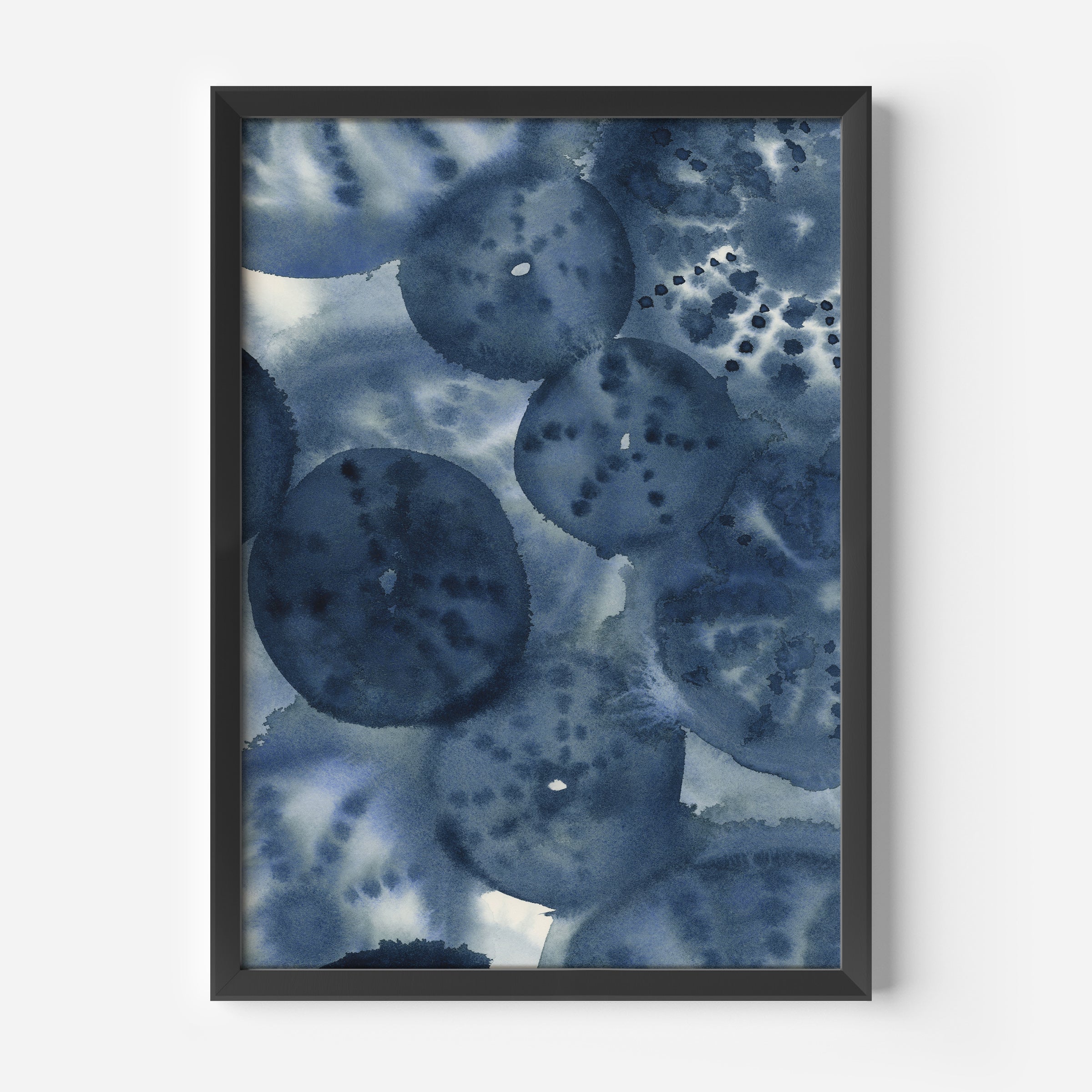 The Sea Urchins - Image 5