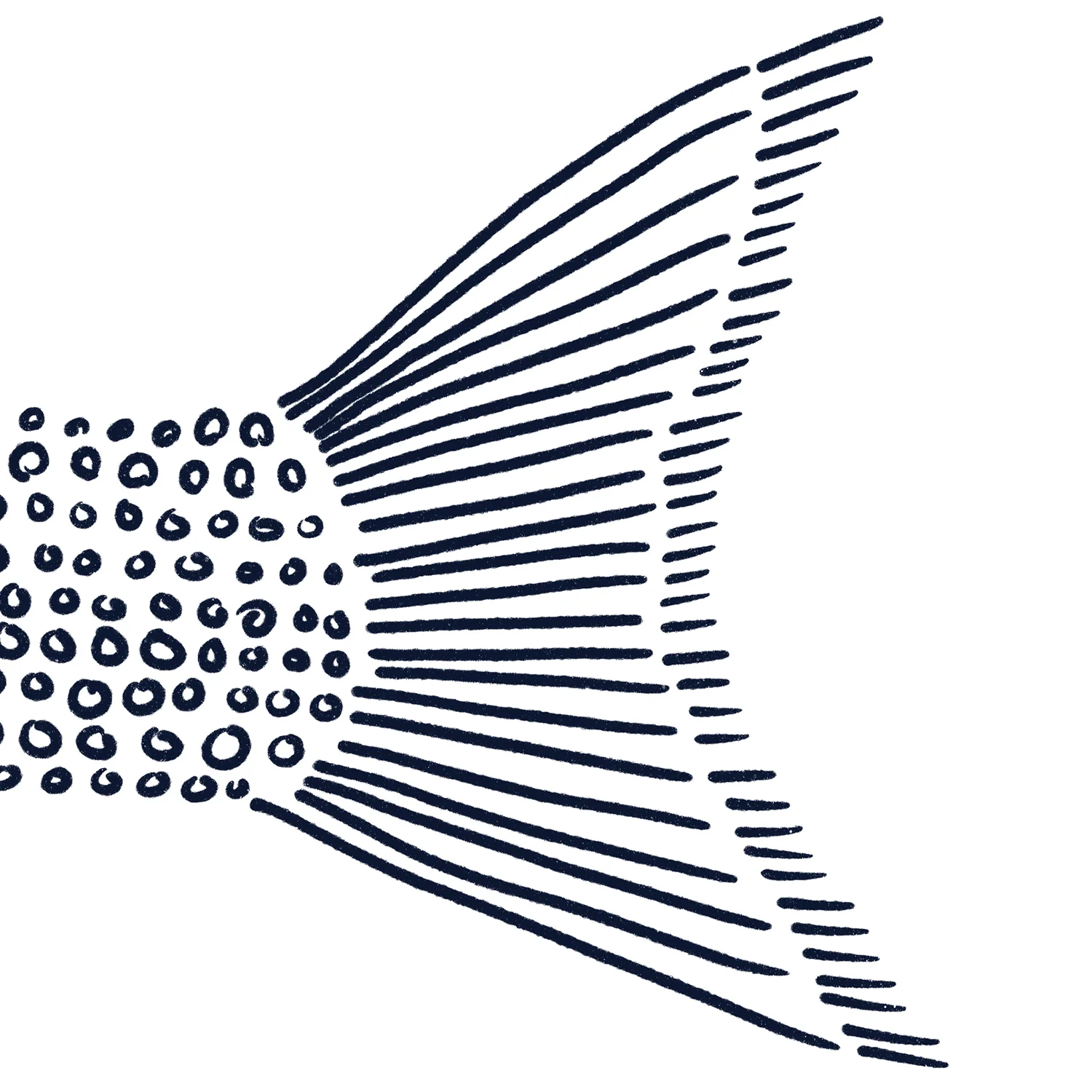 Walleye in Circles - Image 13