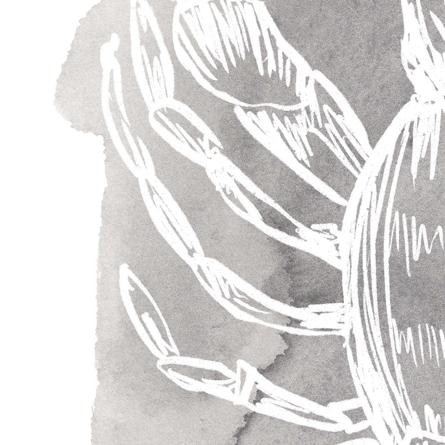 Watercolor Lobster Illustration - Image 14