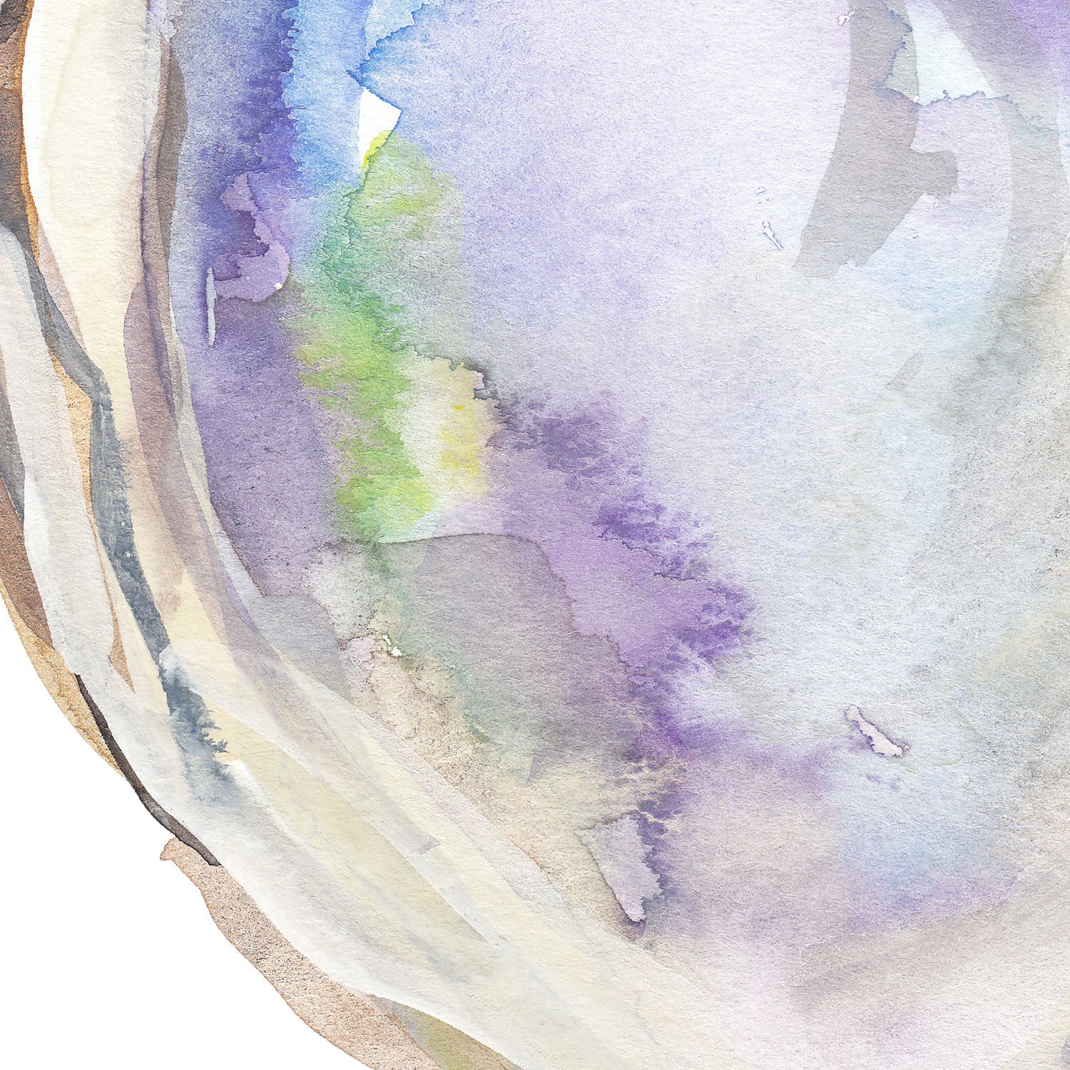 Watercolor Oyster No. 1 - Image 15