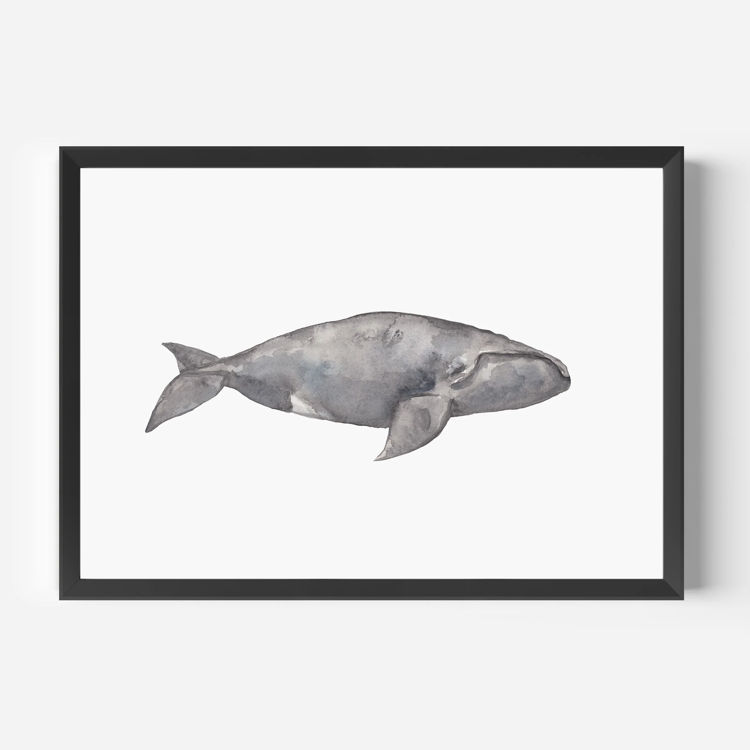 Watercolor Right Whale Painting - Image 2
